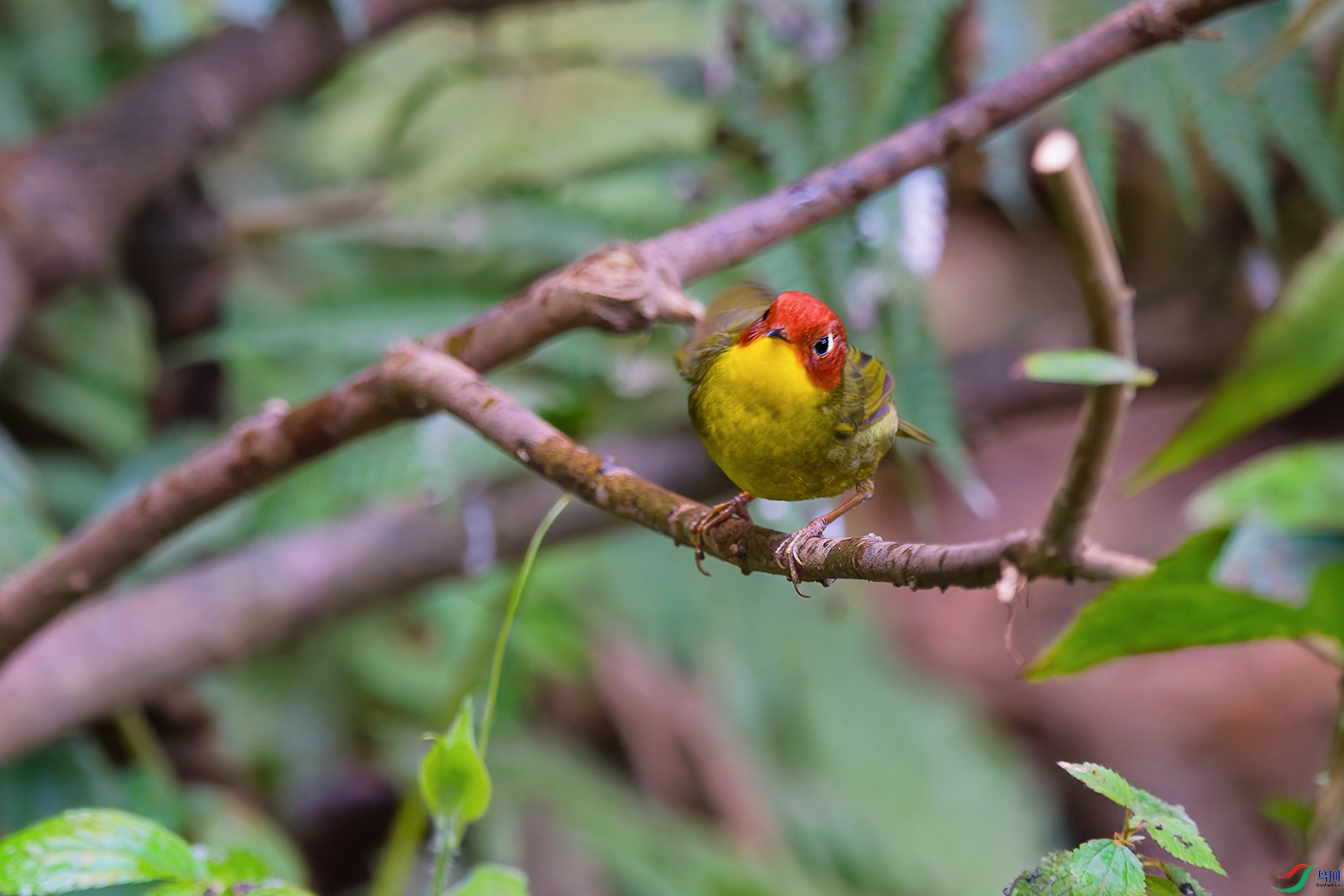 DSC_2713_DxO_DxO.jpga.jpg