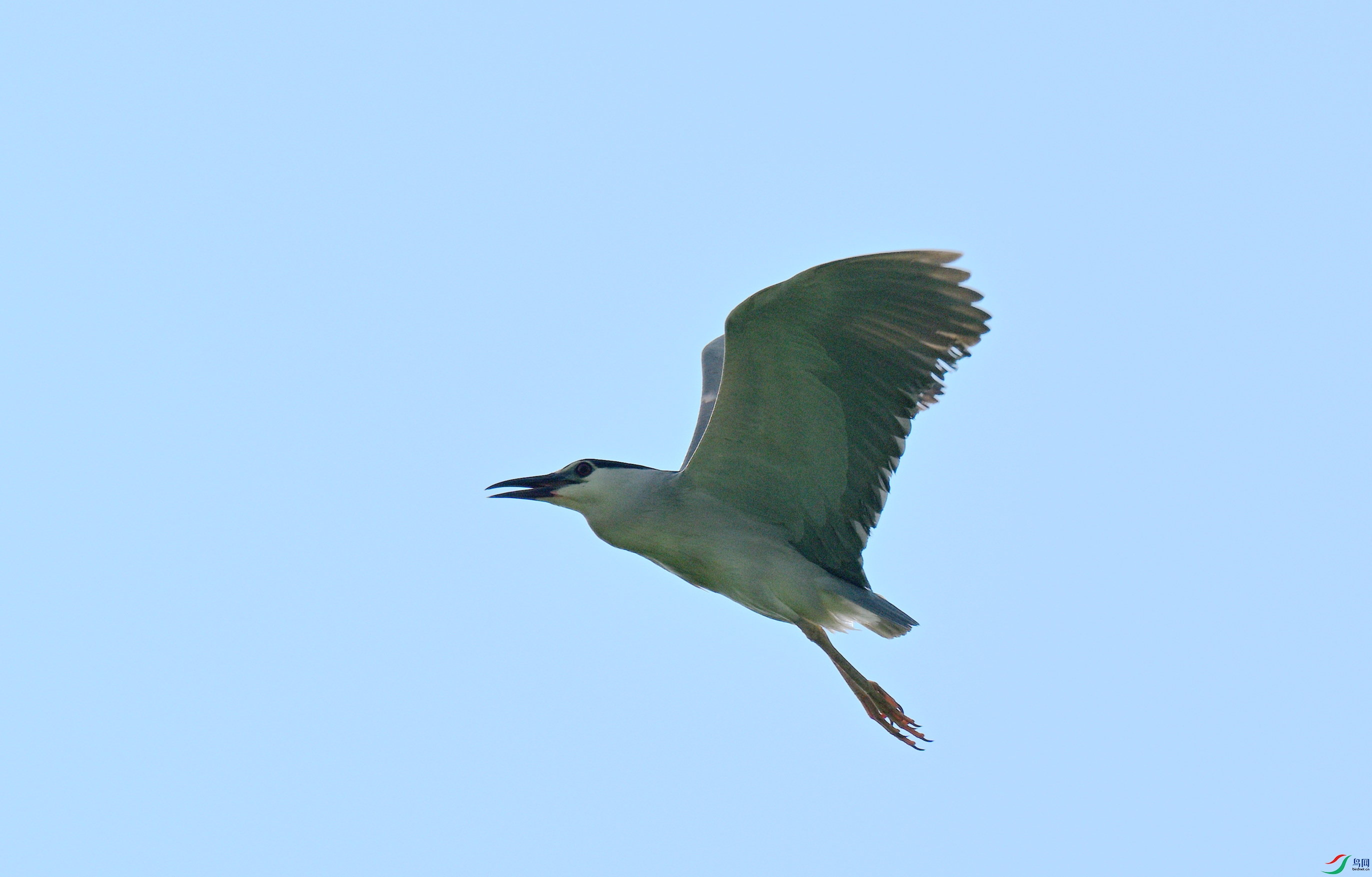 DSC_9245_����.jpg