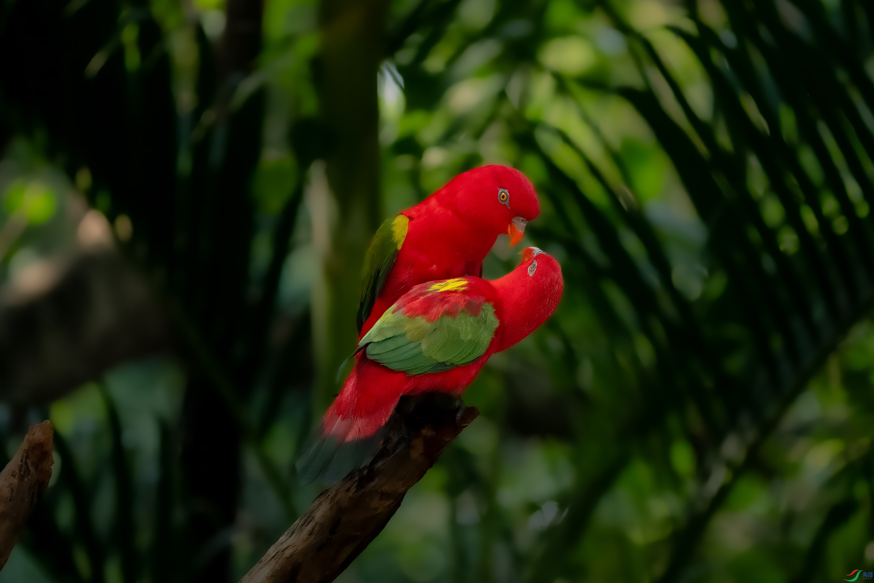 _DSC8486.jpg