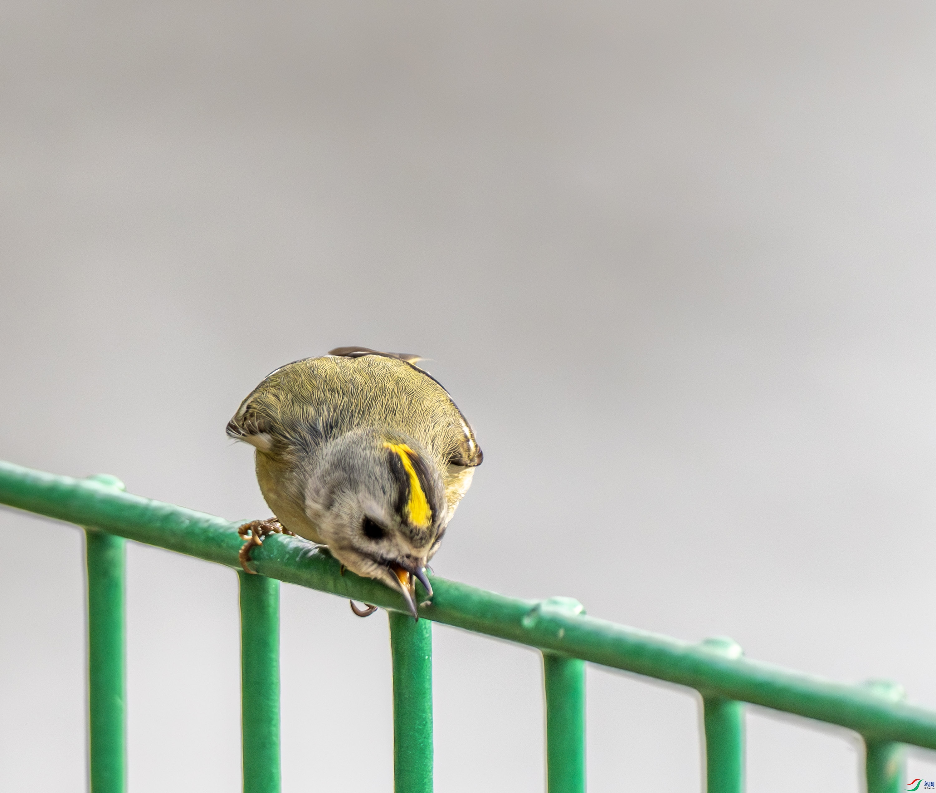 ����-03 (4 - 4).jpg