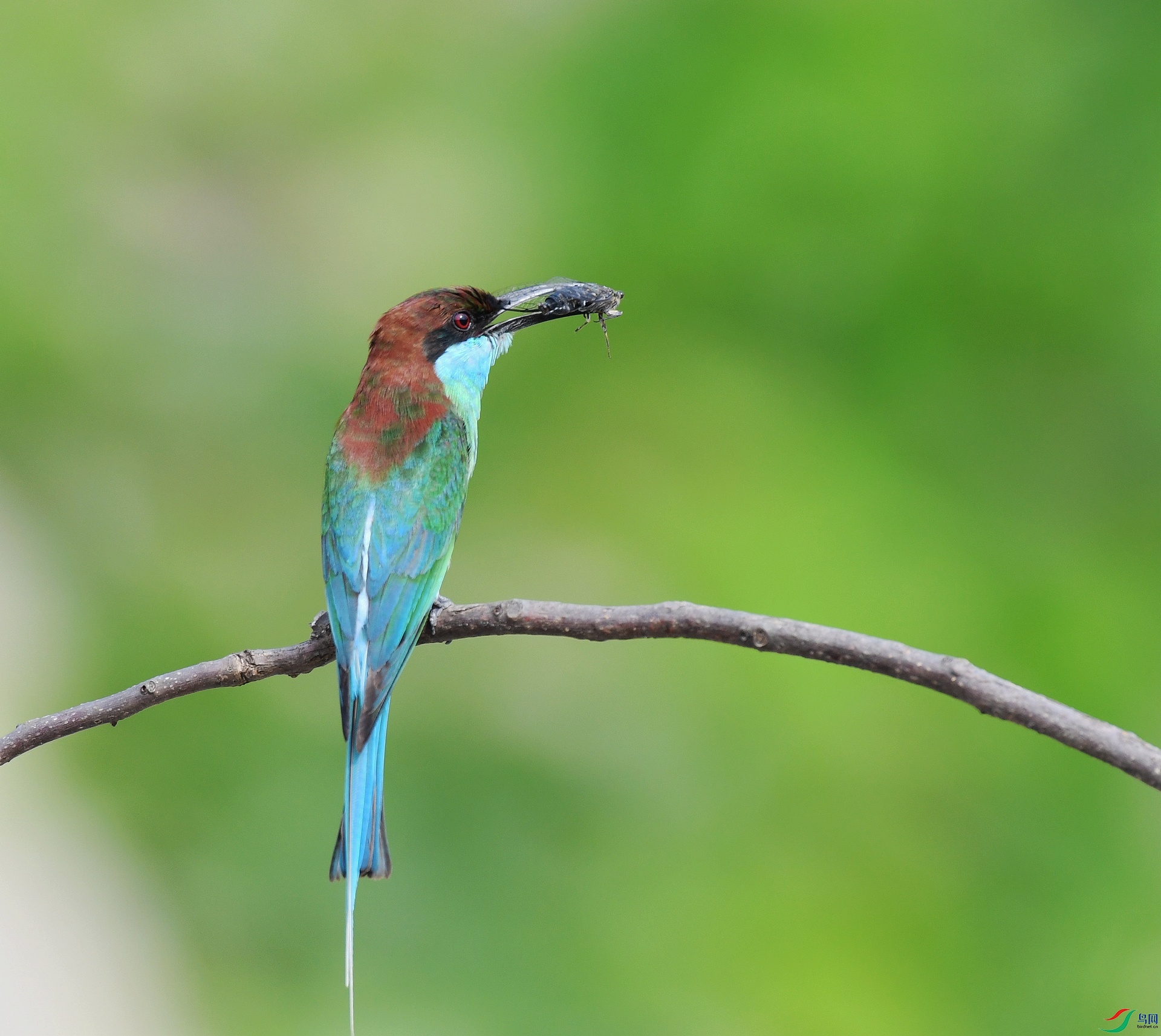 DSC_2983.jpg