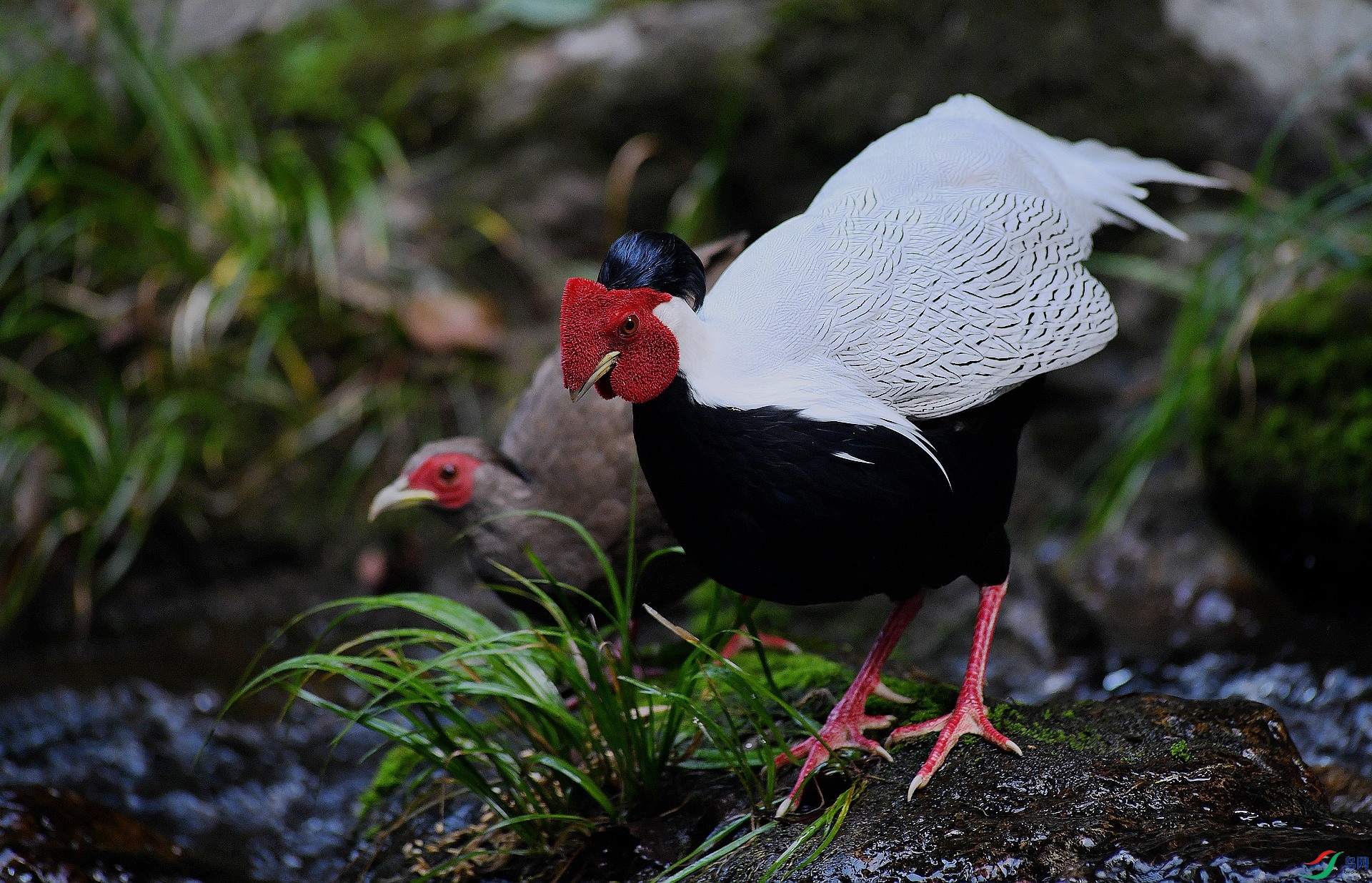 DSC_2083.jpg