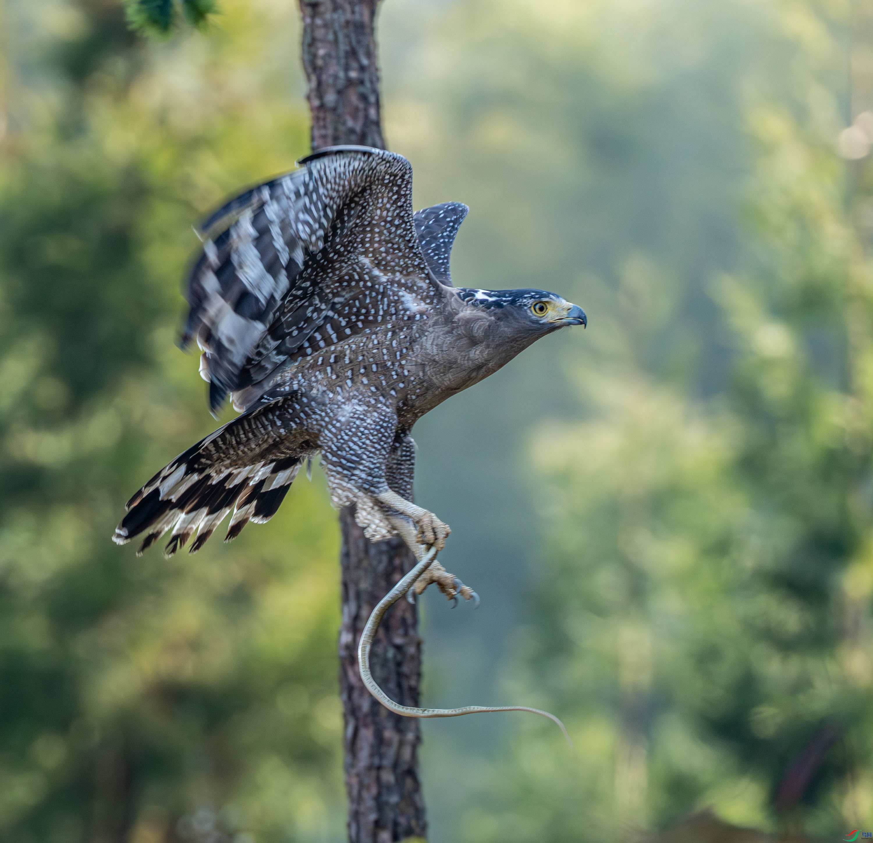 ��ʳ����-�ߵ� (8 - 10).jpg