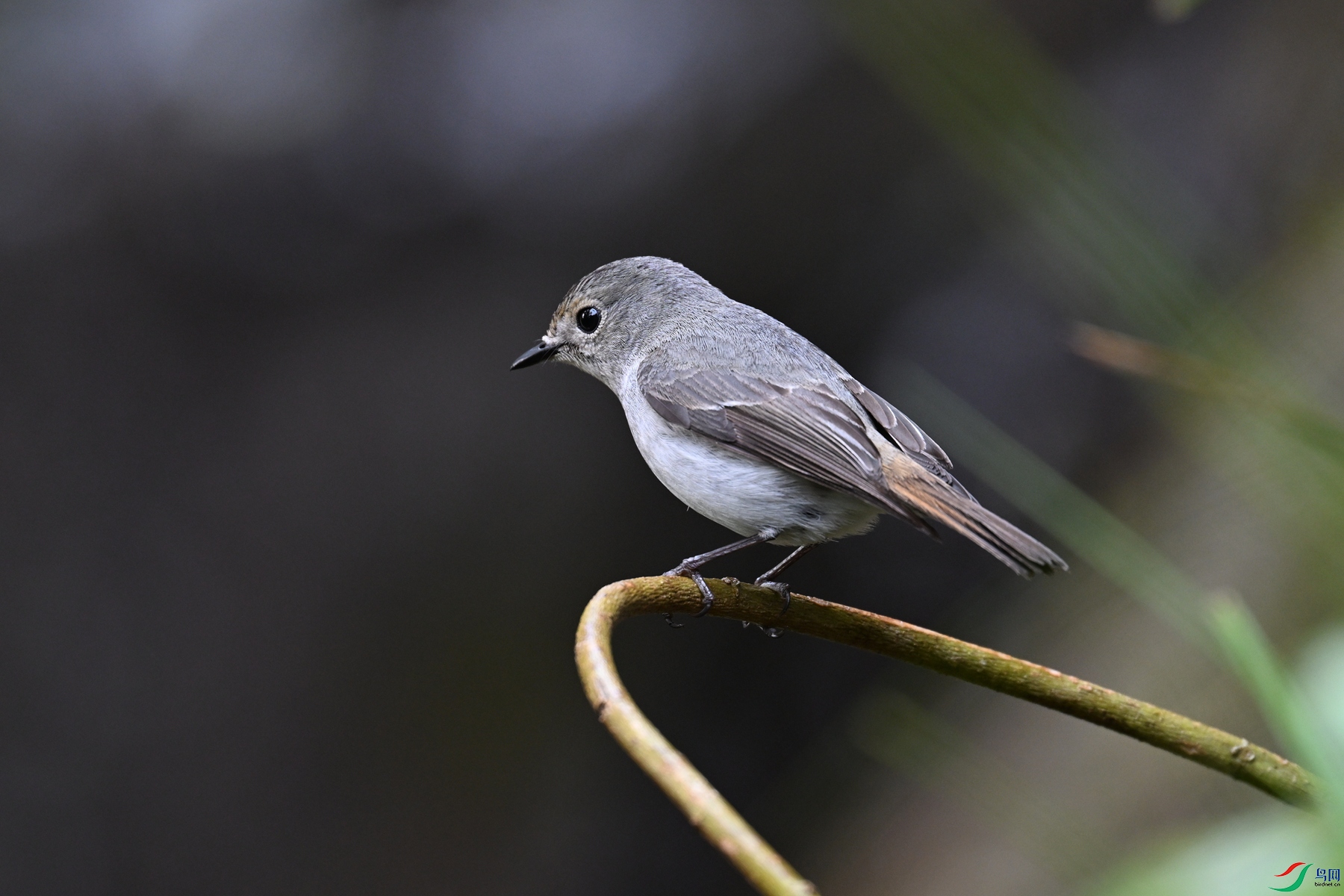 DSC_6980.JPG