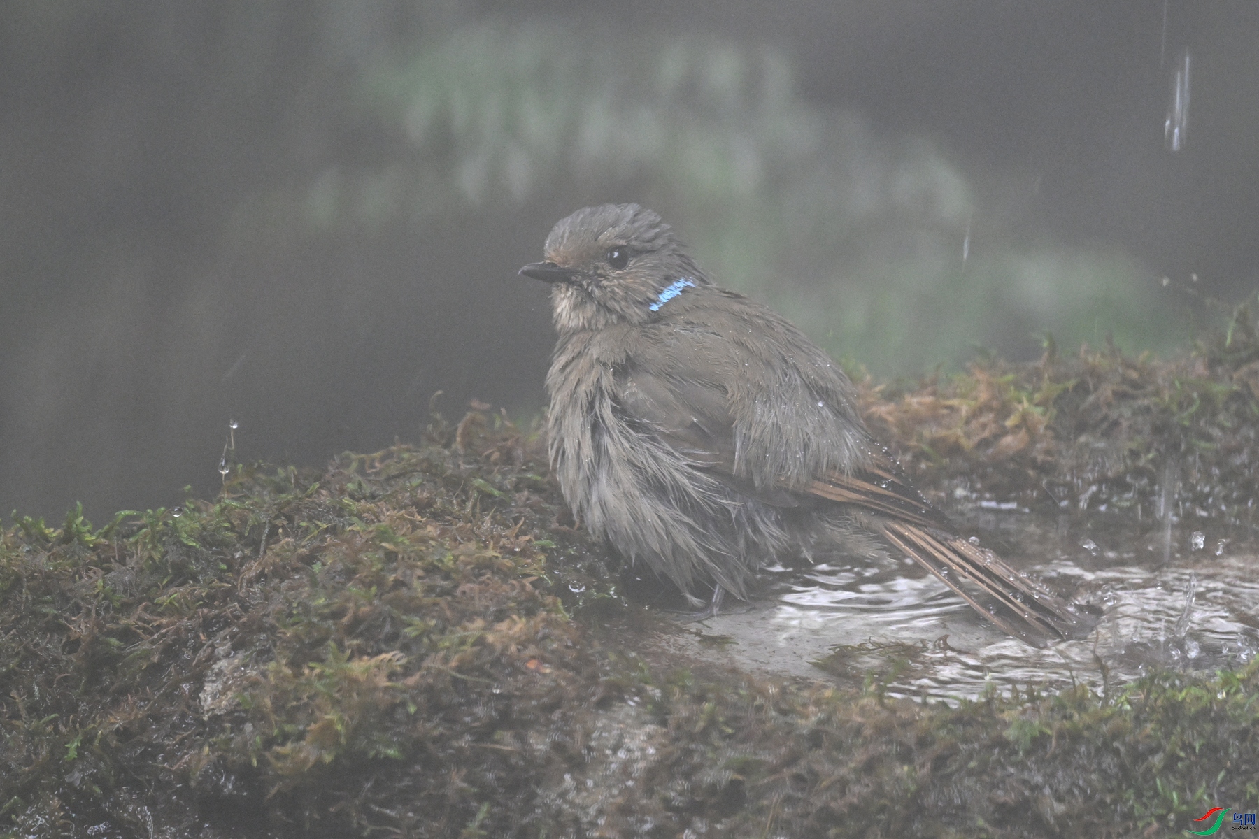DSC_7025.JPG