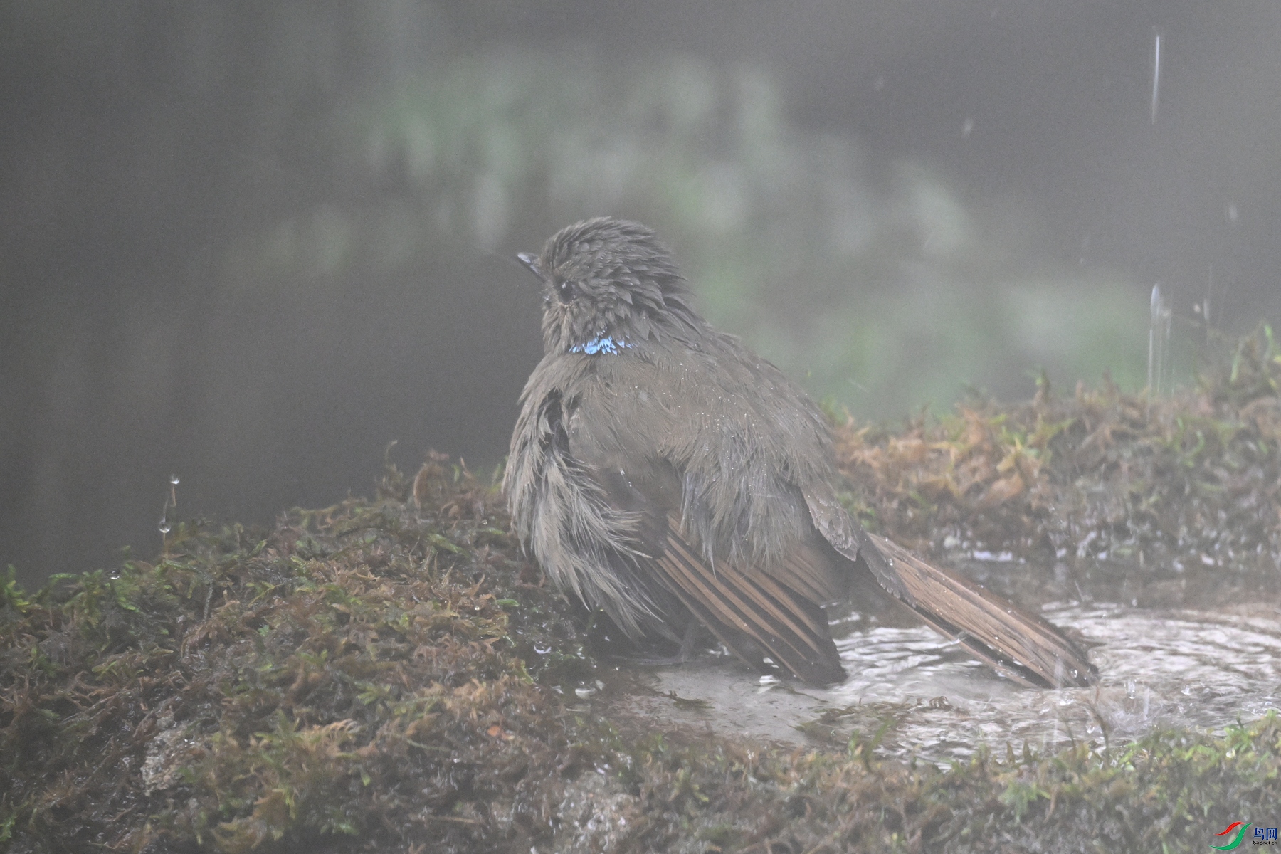 DSC_7023.JPG