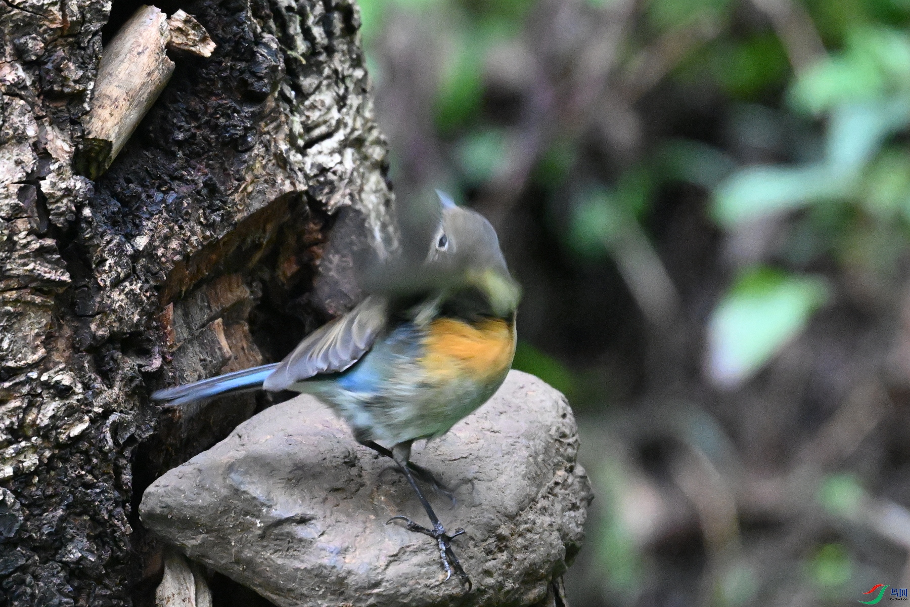 DSC_7042.JPG