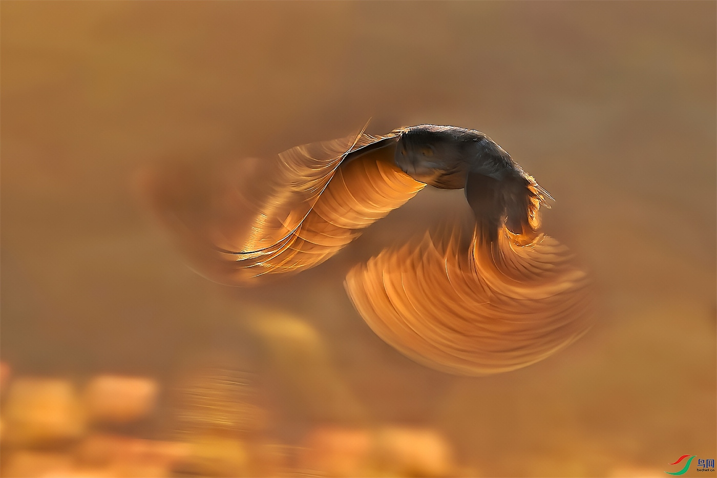 ΢��ͼƬ_20260910174309.jpg