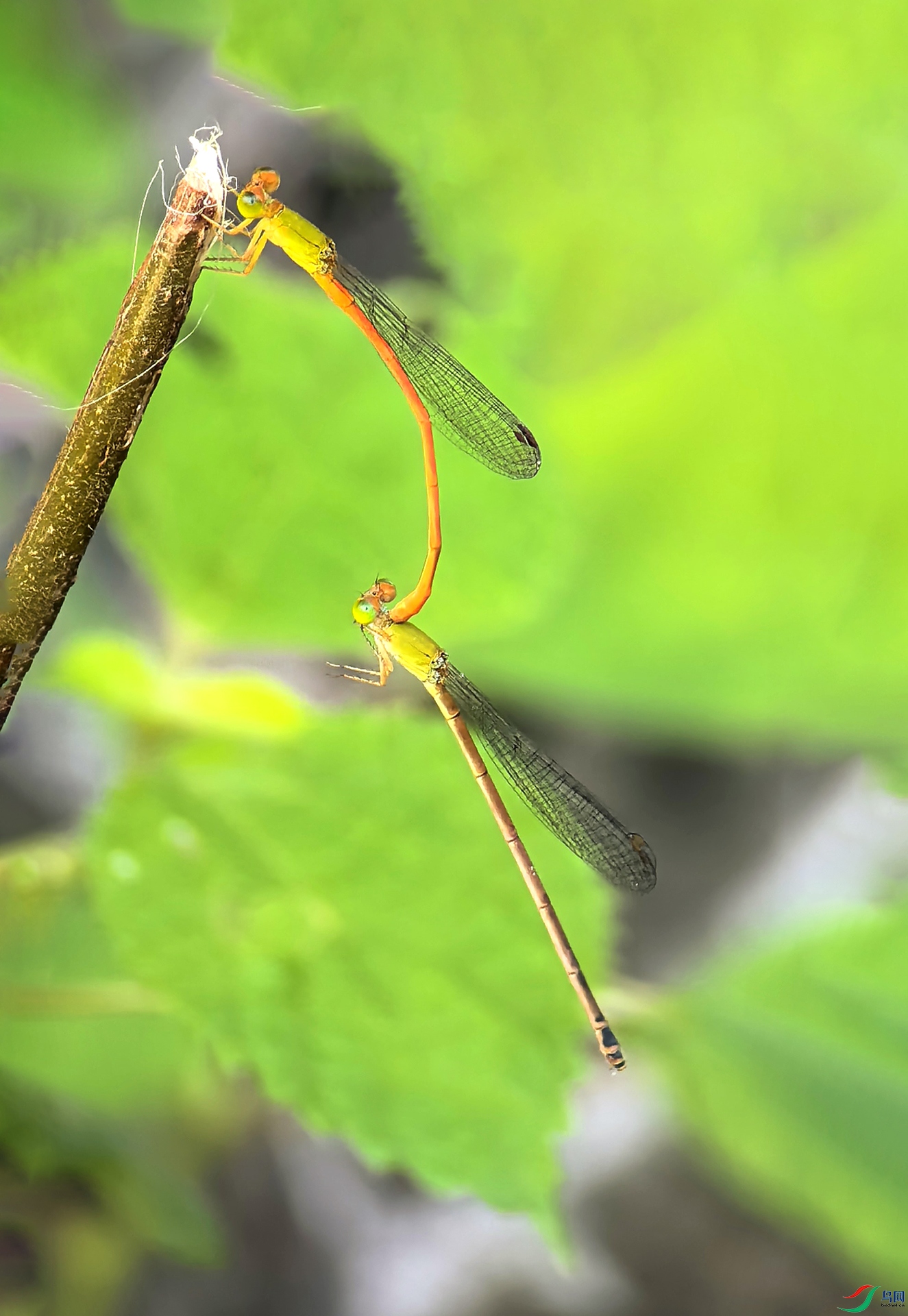 IMG_20260912_085058 ------222   .jpg