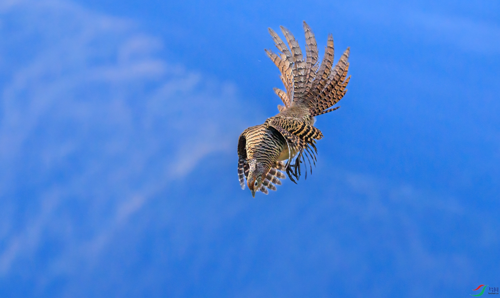 �׸�����1089A6127-1.jpg