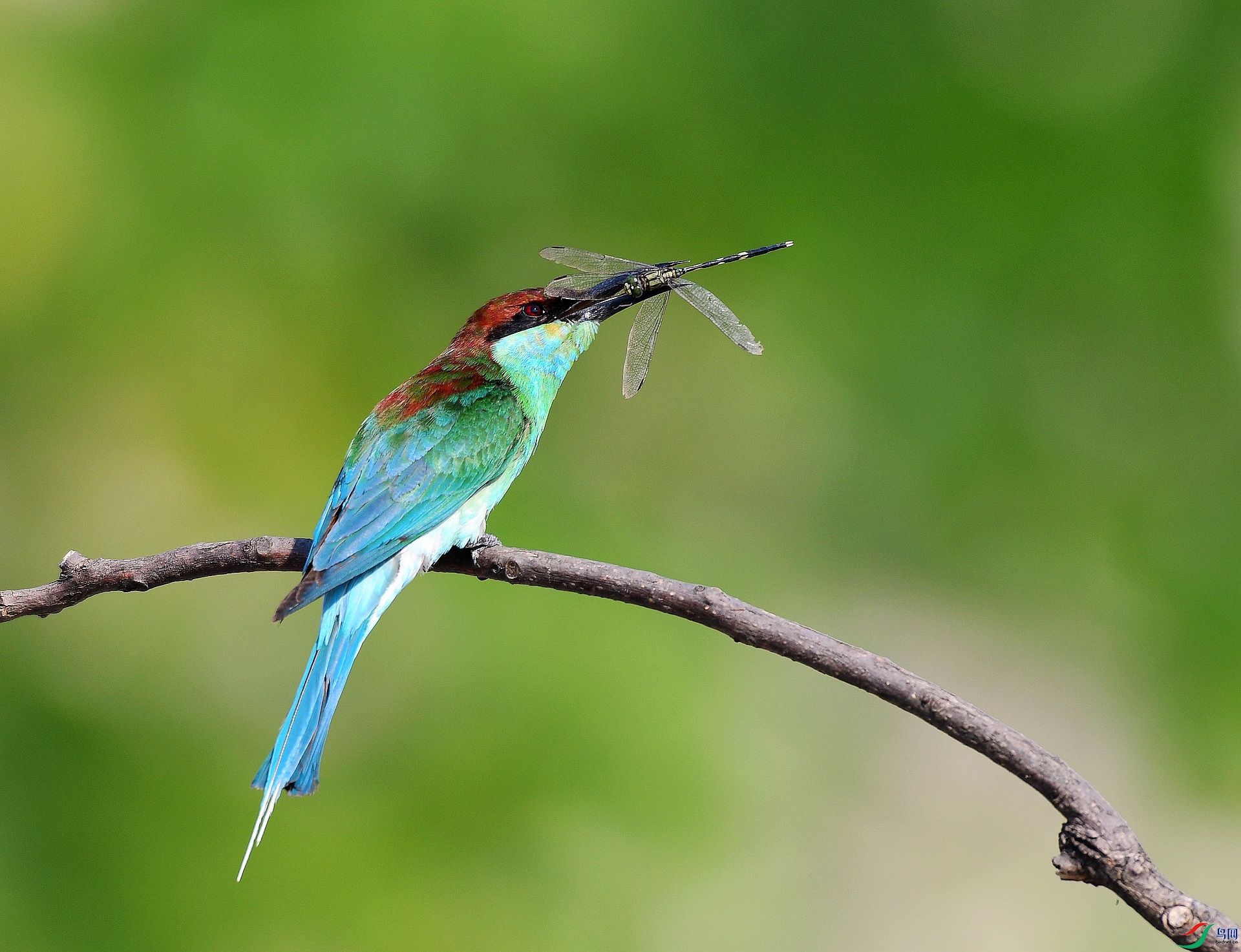DSC_3307.jpg