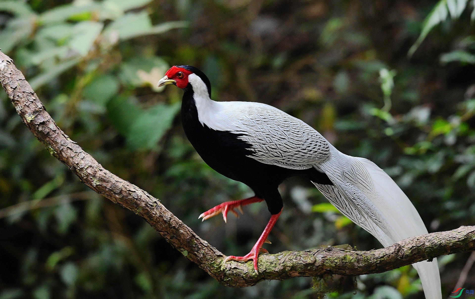 DSC_7466.jpg