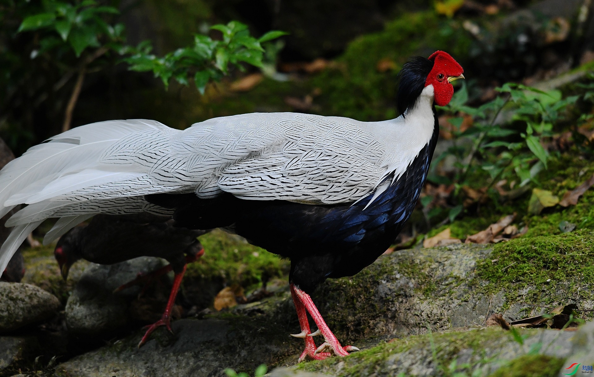 DSC_8011.jpg