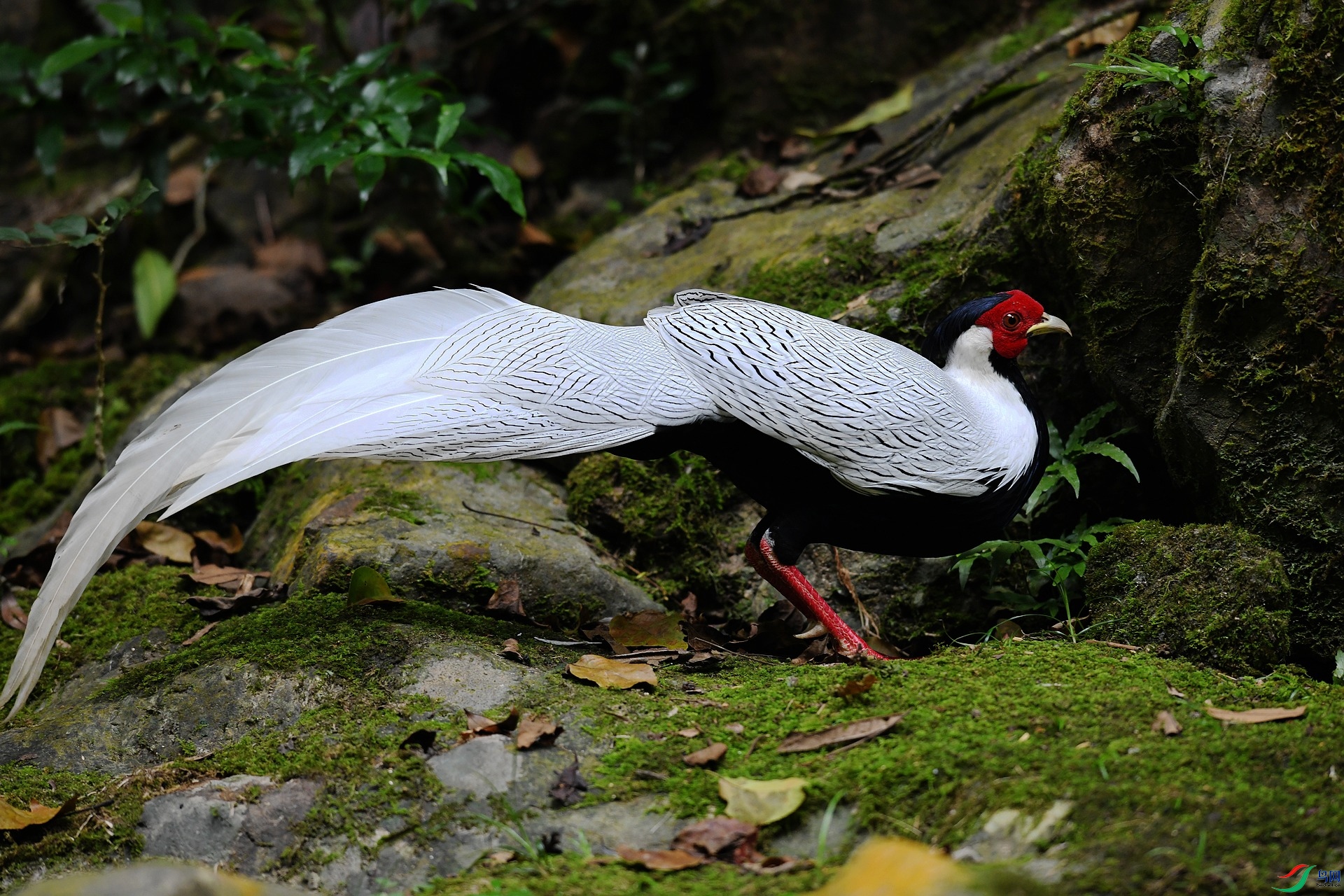 DSC_6919.jpg
