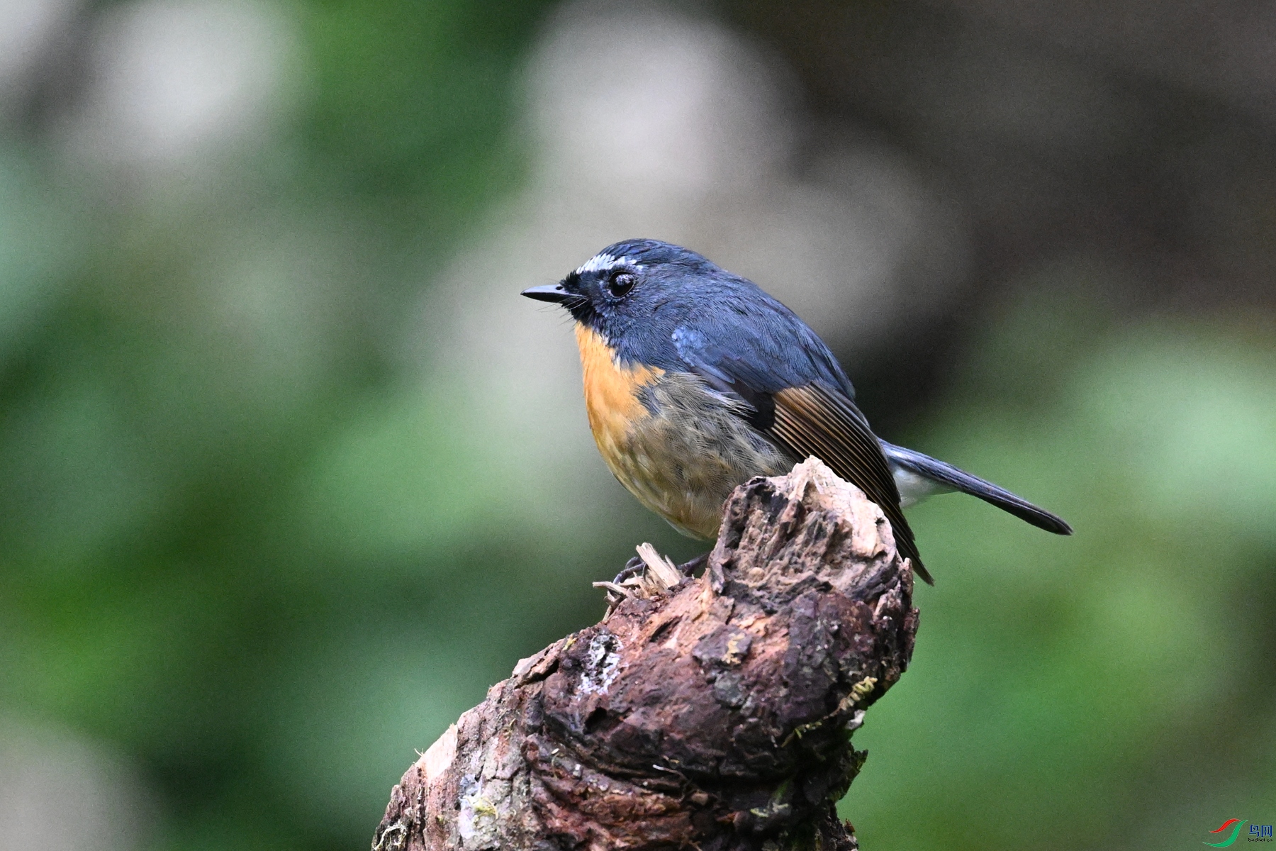 DSC_7044.JPG