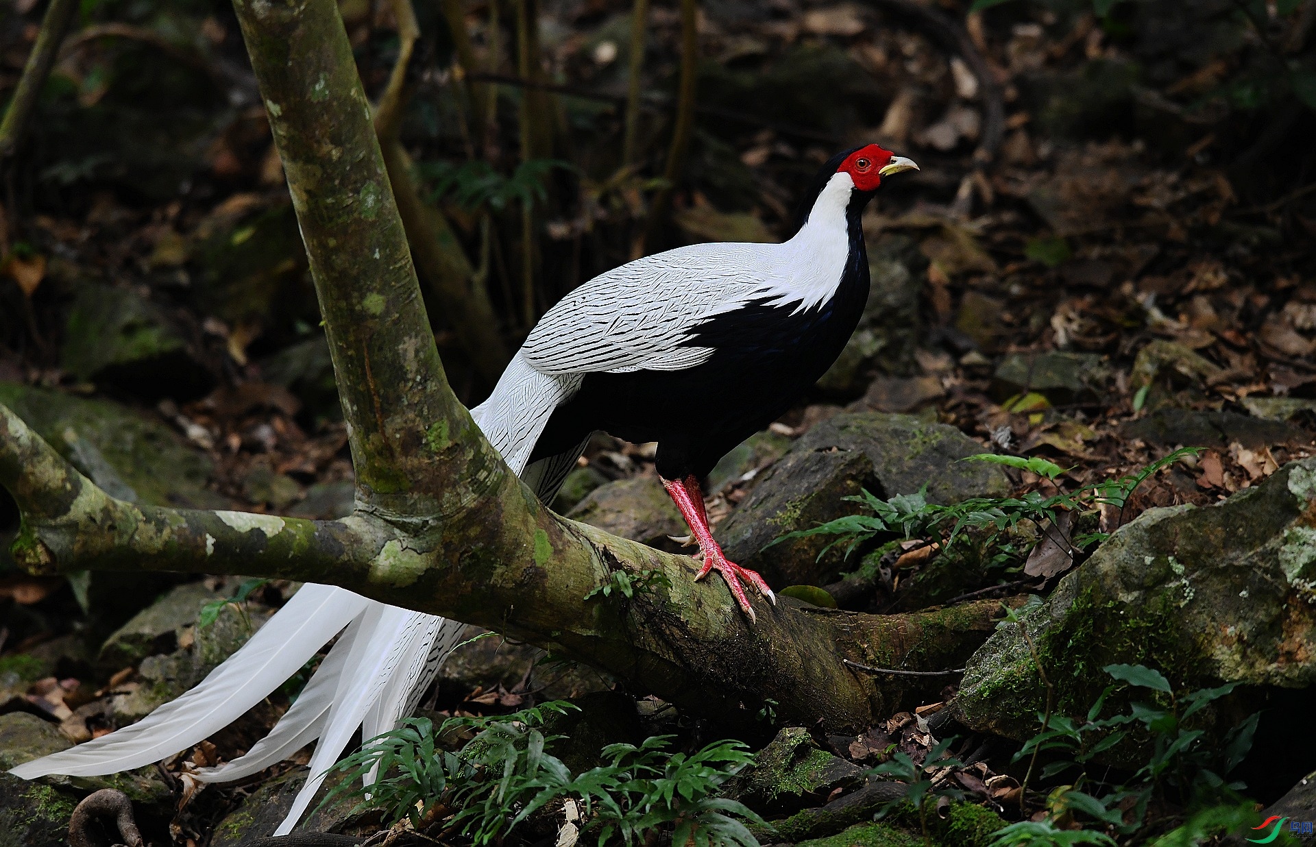 DSC_9368.jpg
