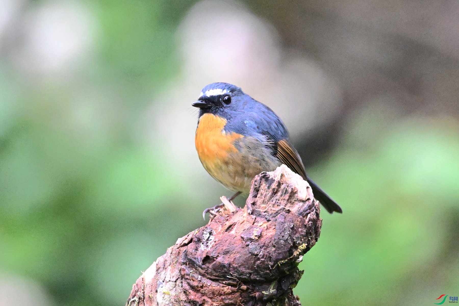 DSC_7056.JPG