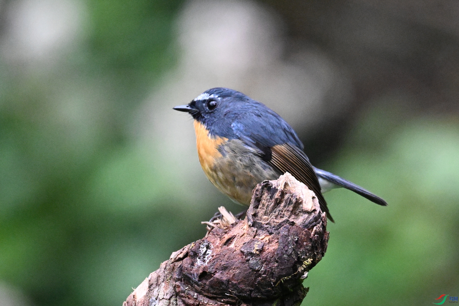DSC_7045.JPG