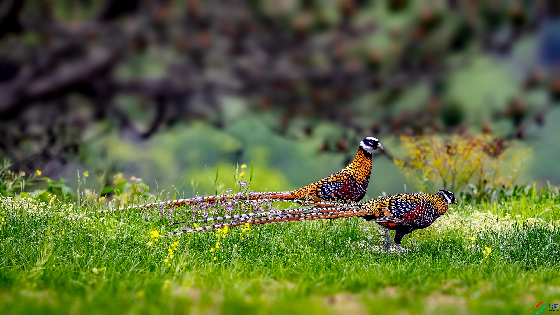 _DSC4286.jpg