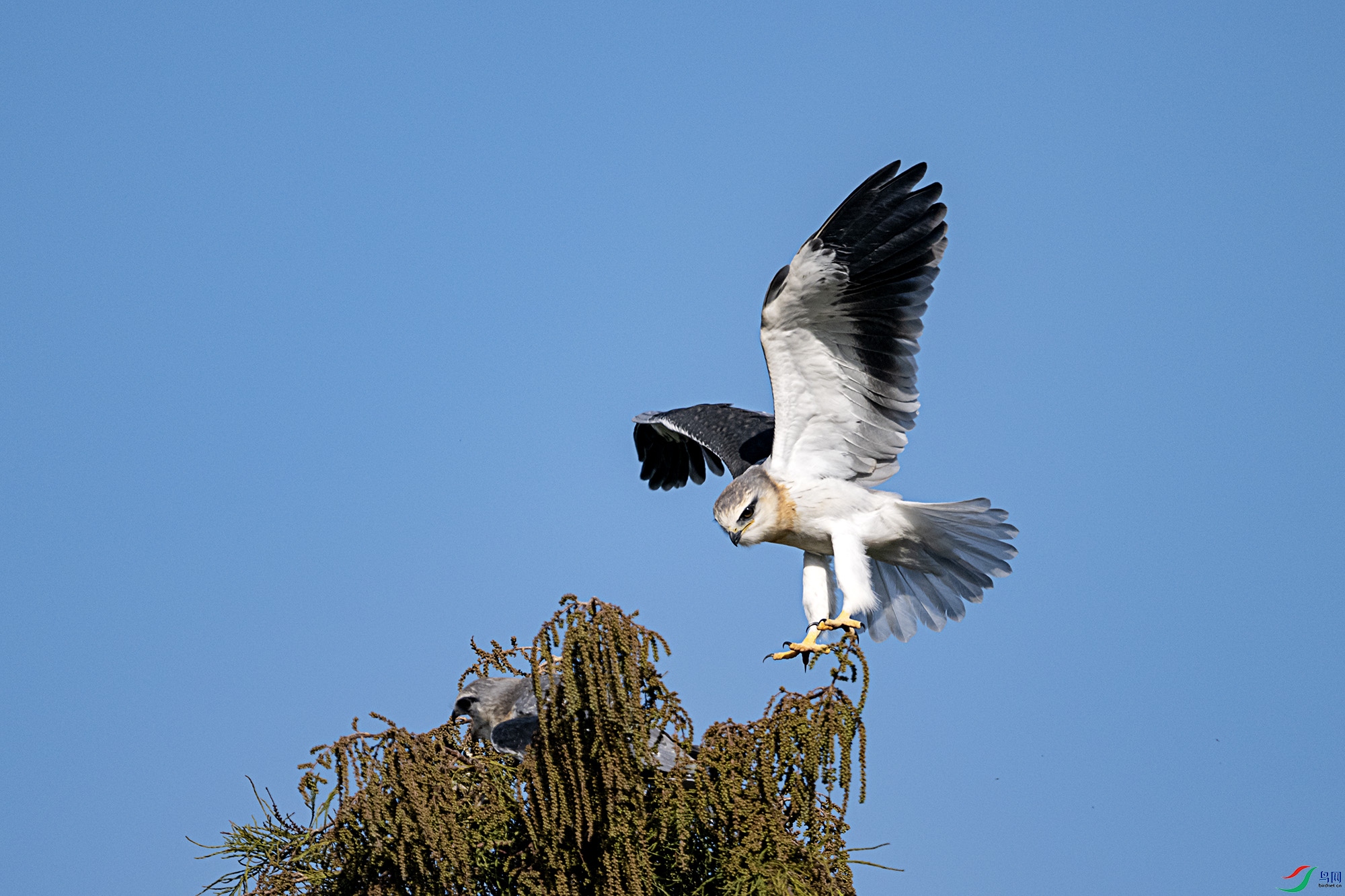 DSC_2027.jpg