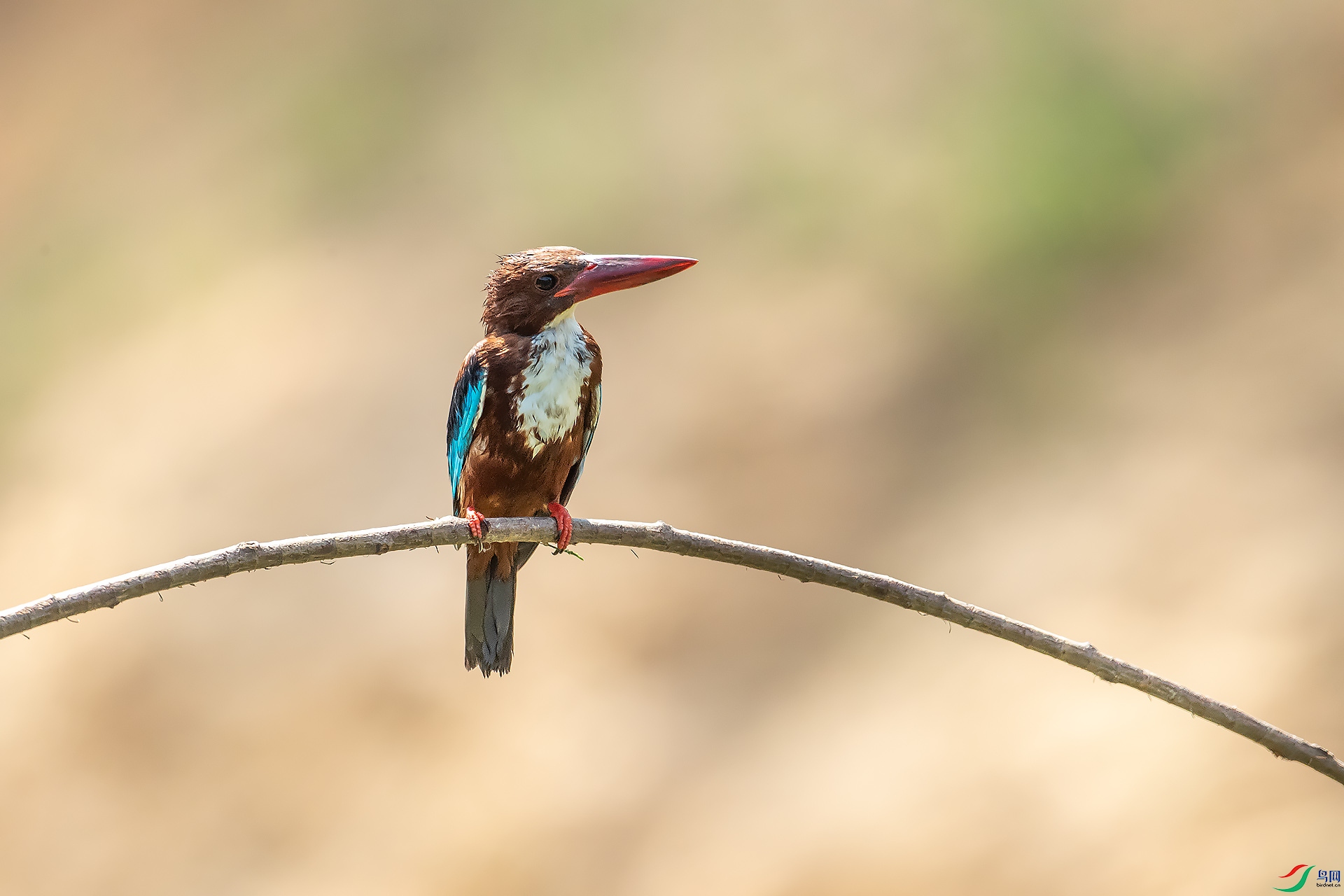 DSC_7304.jpg