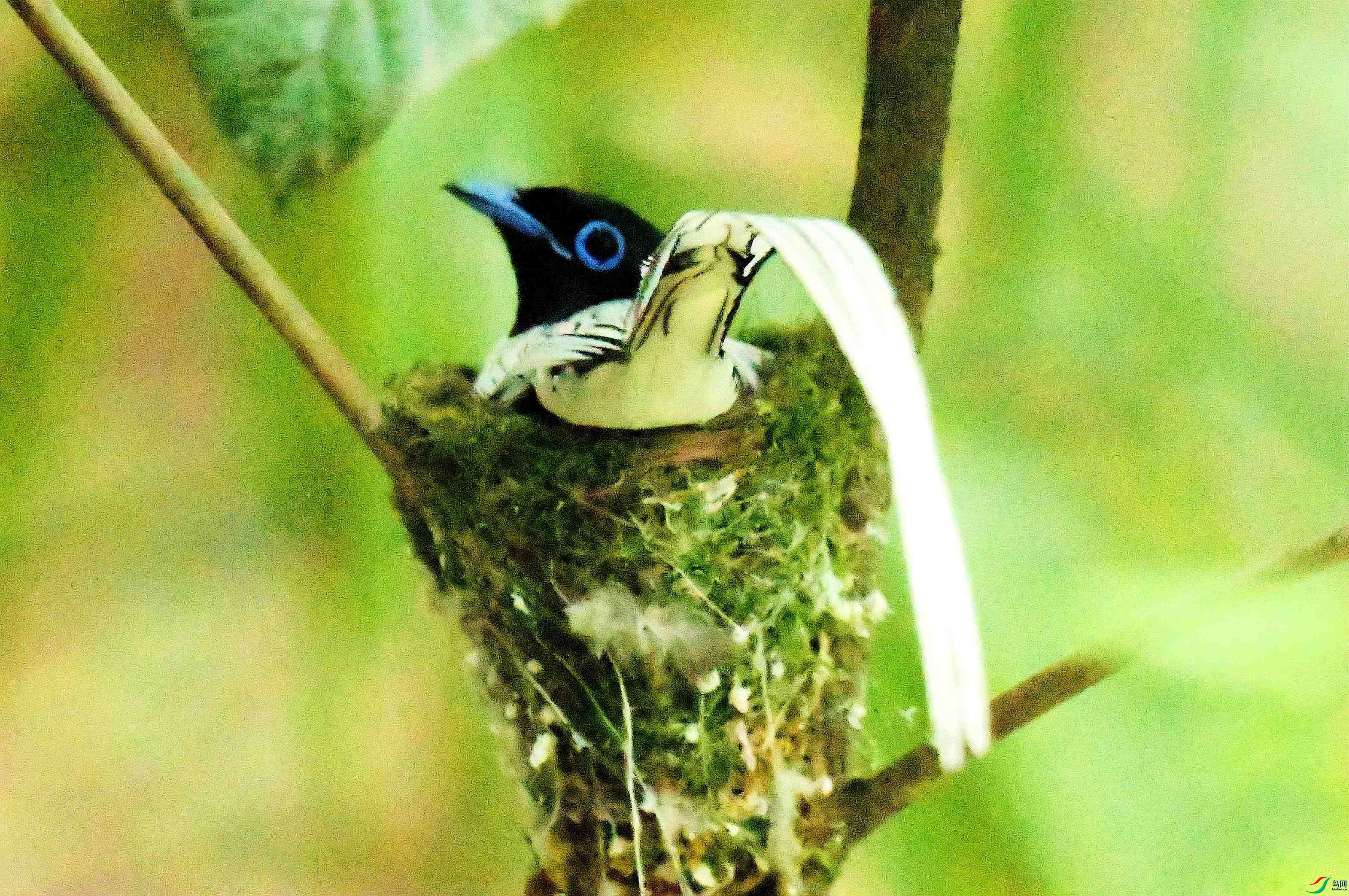 DSC_9398.JPG