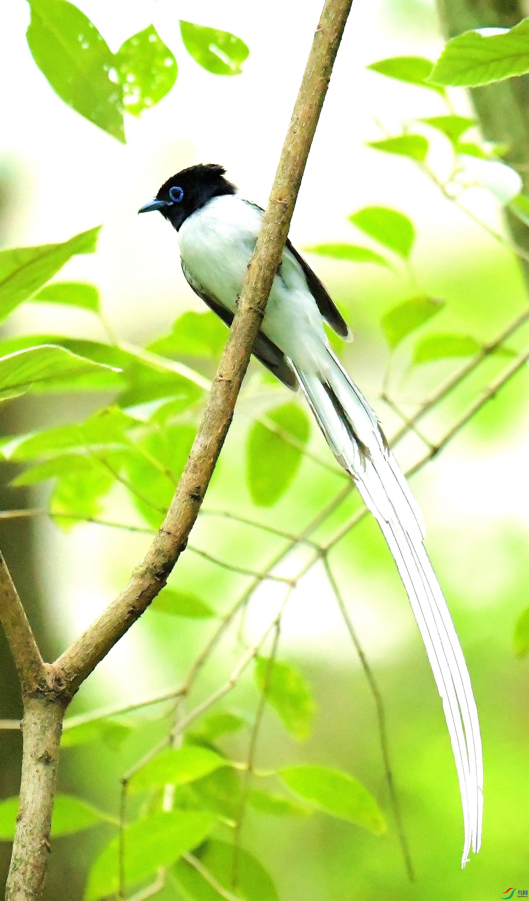 DSC_9421.JPG