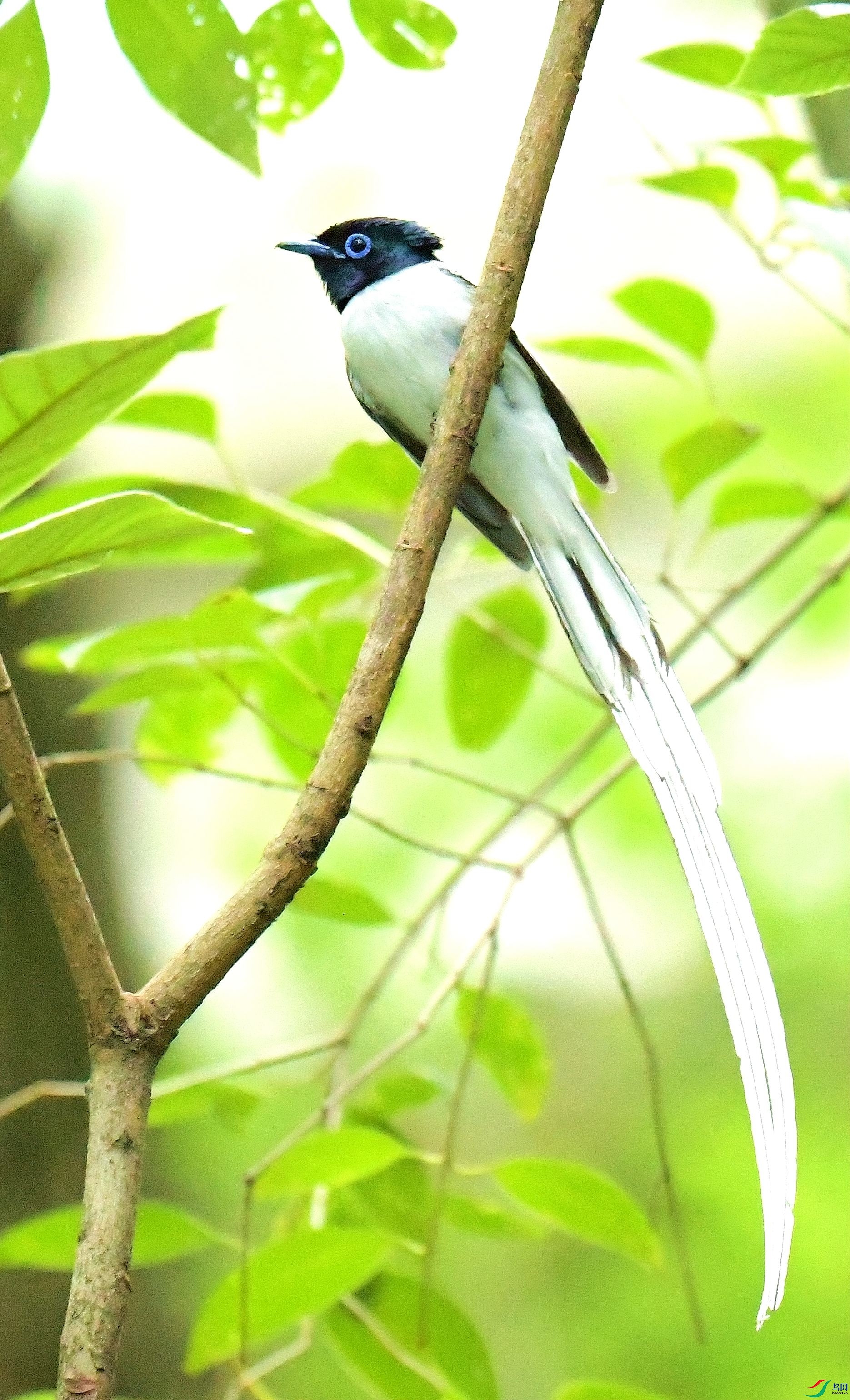 DSC_9427.JPG