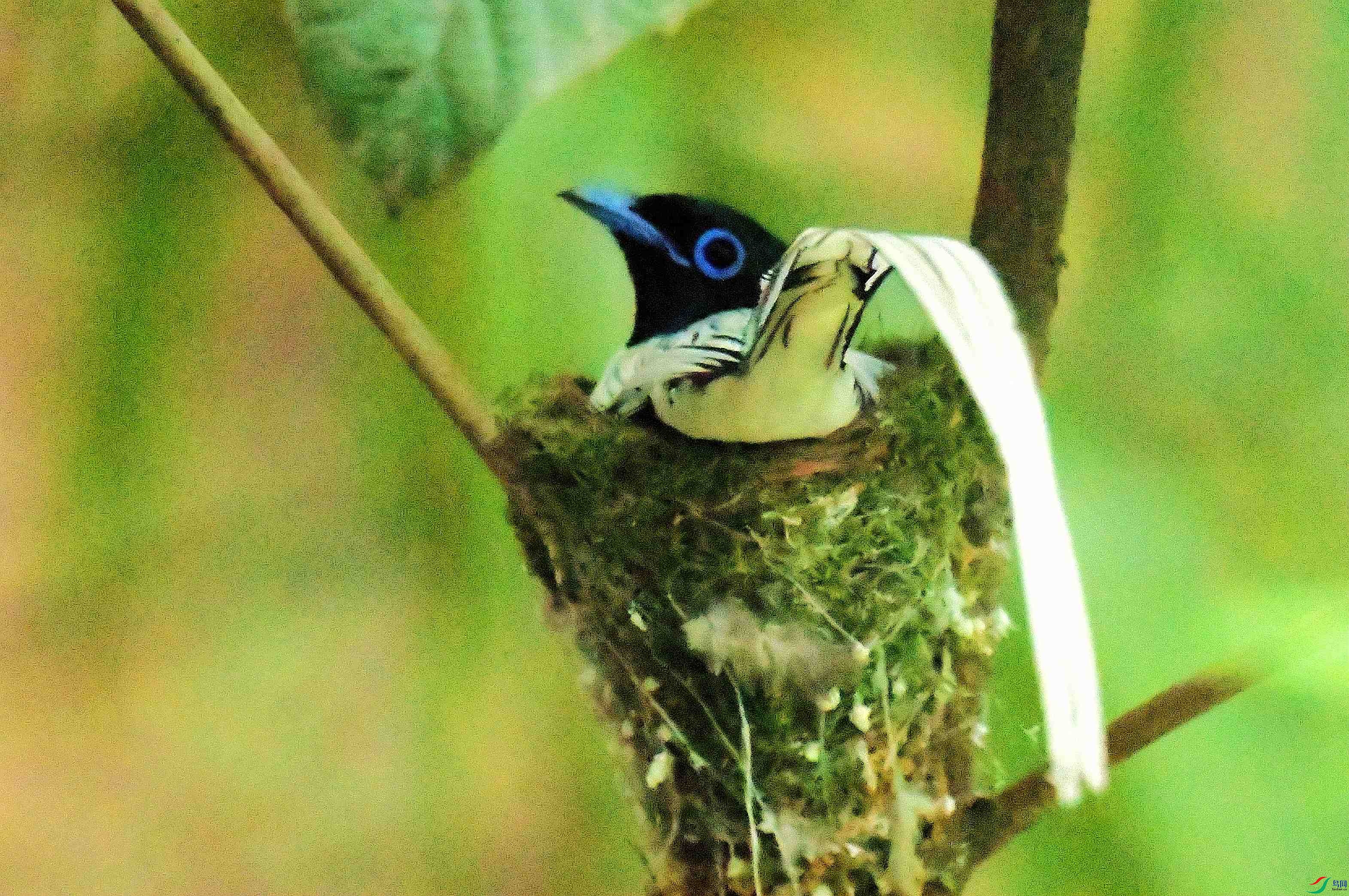 DSC_9399.JPG