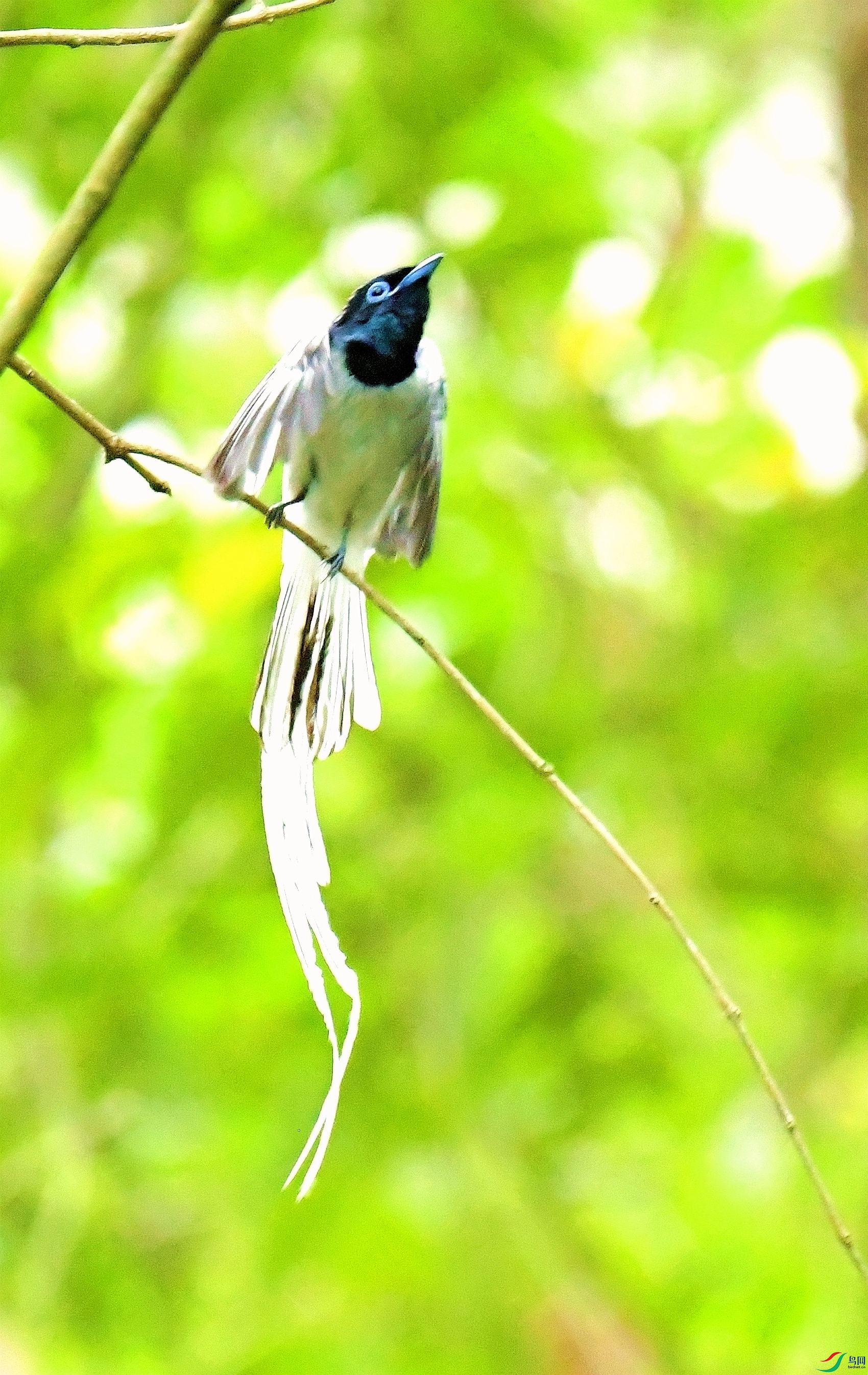DSC_9376.JPG