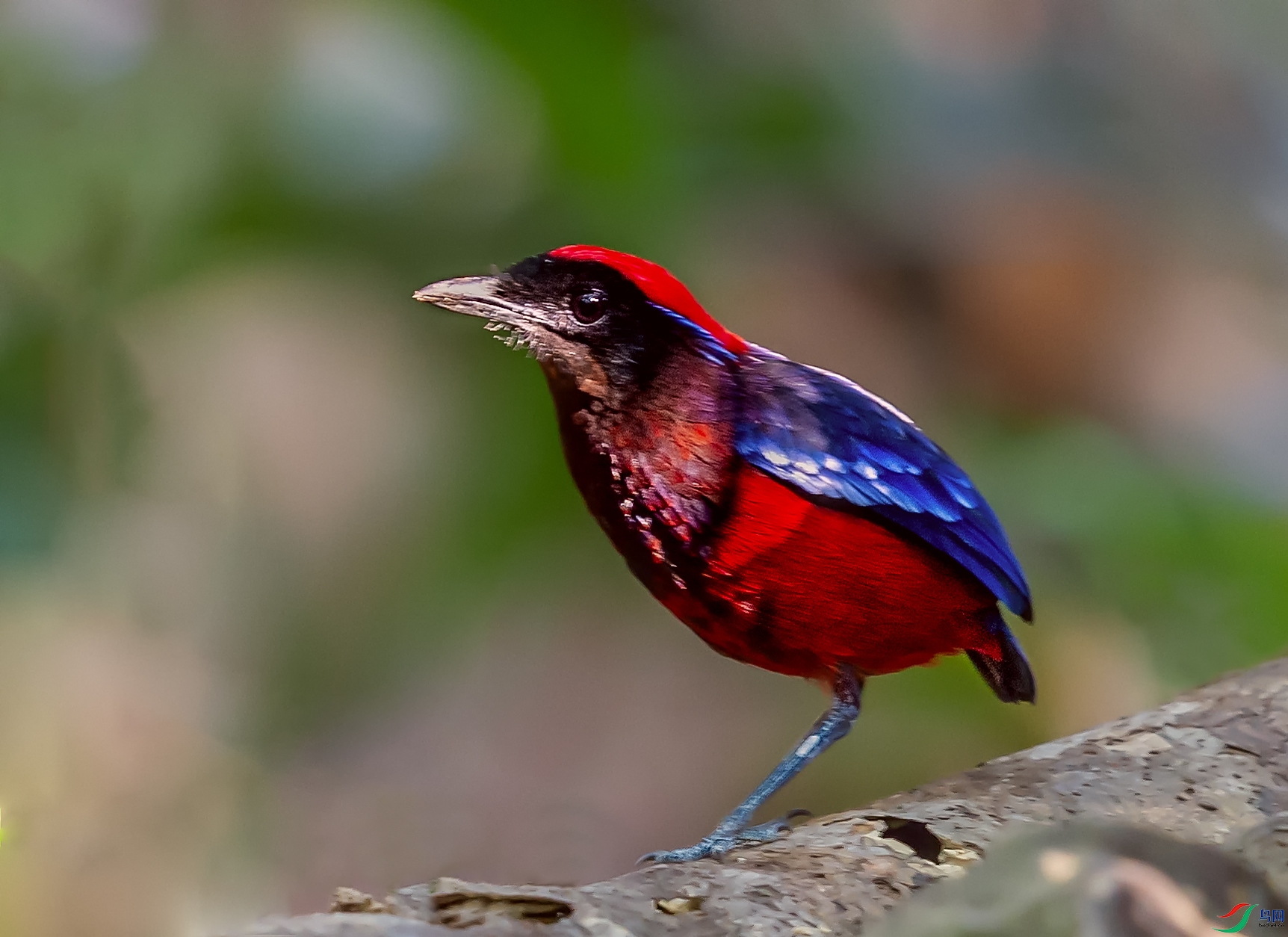 _DSC5173.jpg