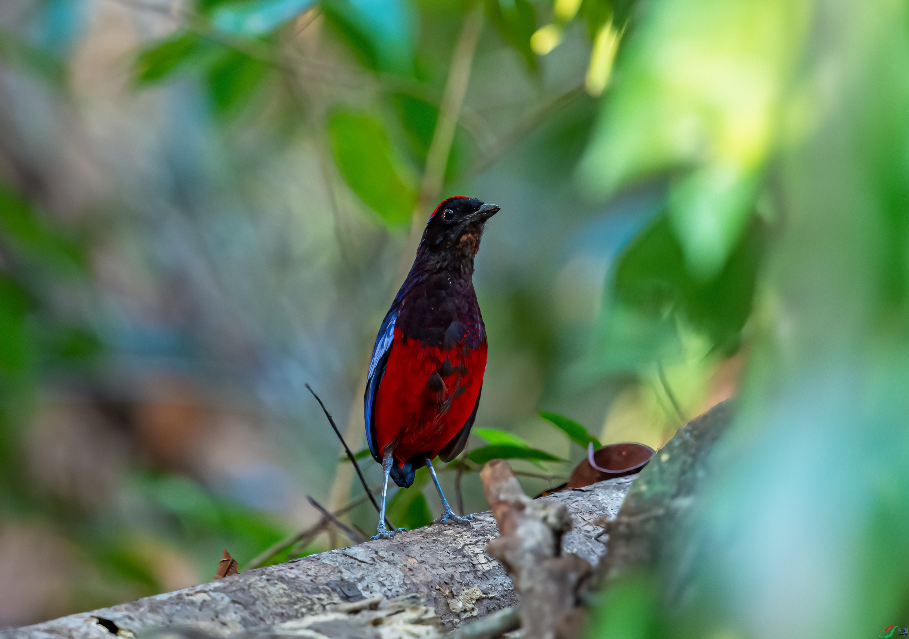 _DSC5228-1.jpg