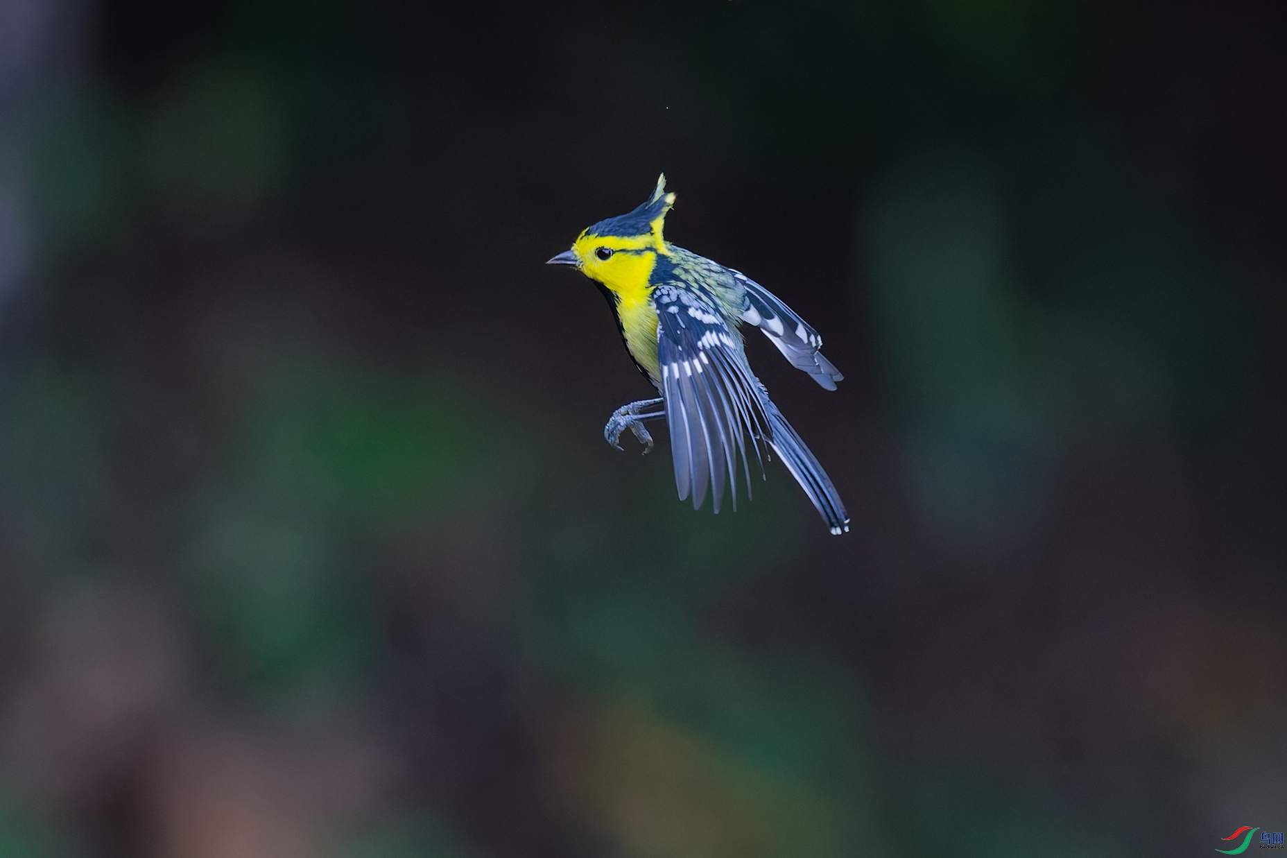 DSC_3673_DxO_DxOa.jpg