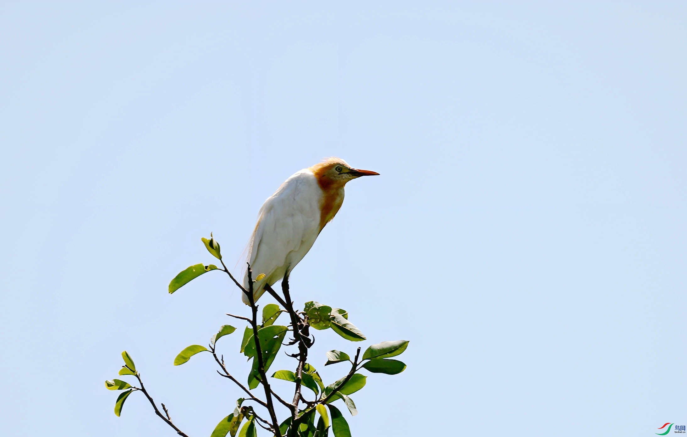 DSC_6097_����.jpg