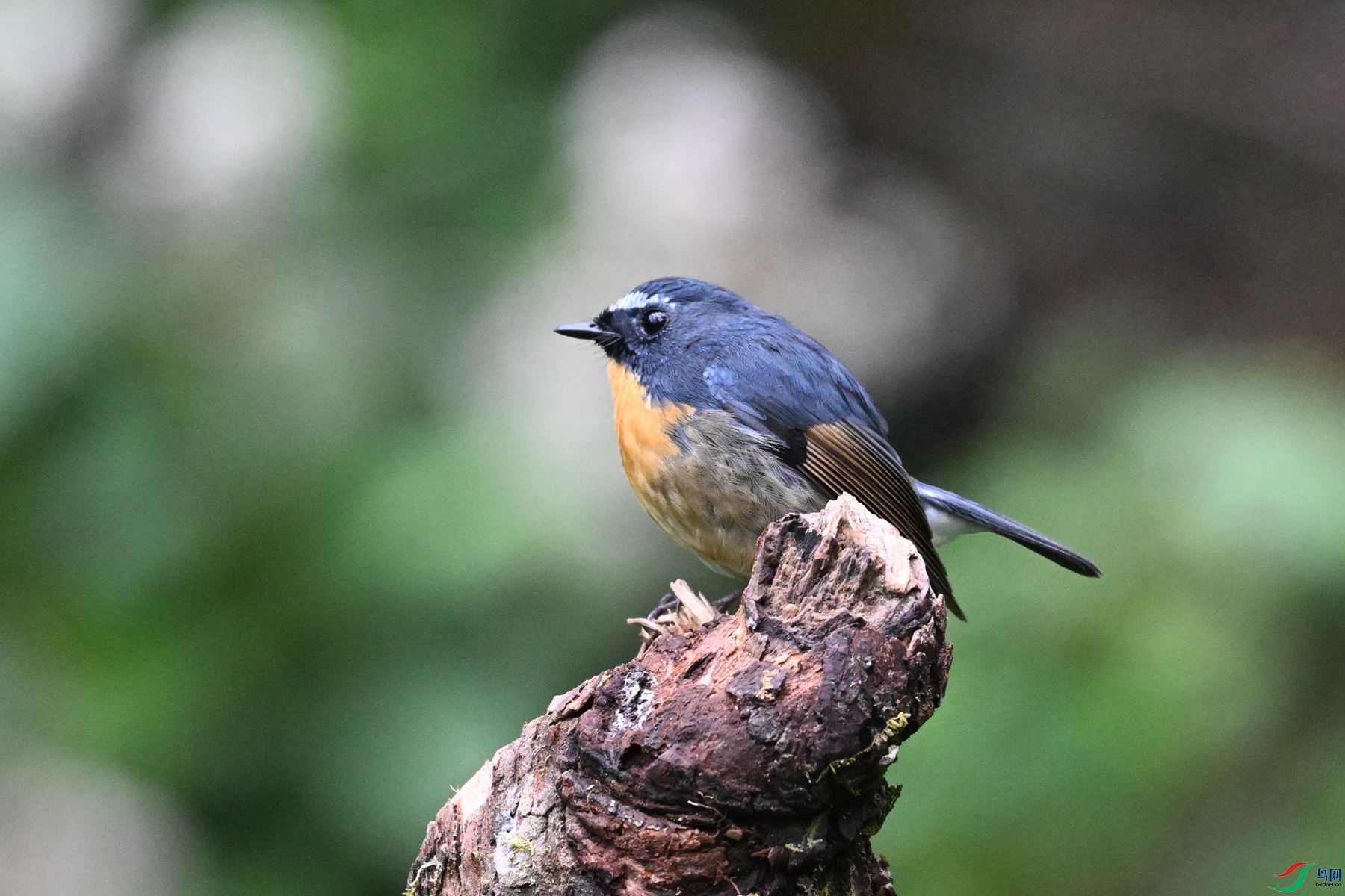 DSC_7046.JPG