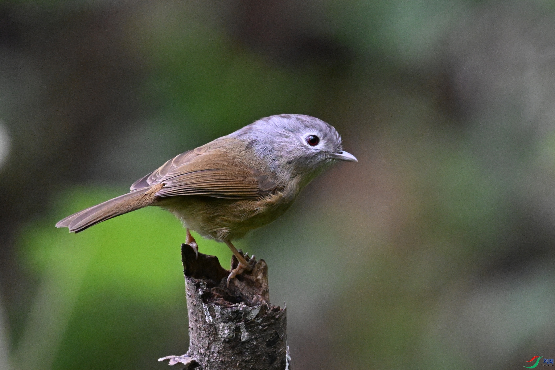 DSC_7074.JPG