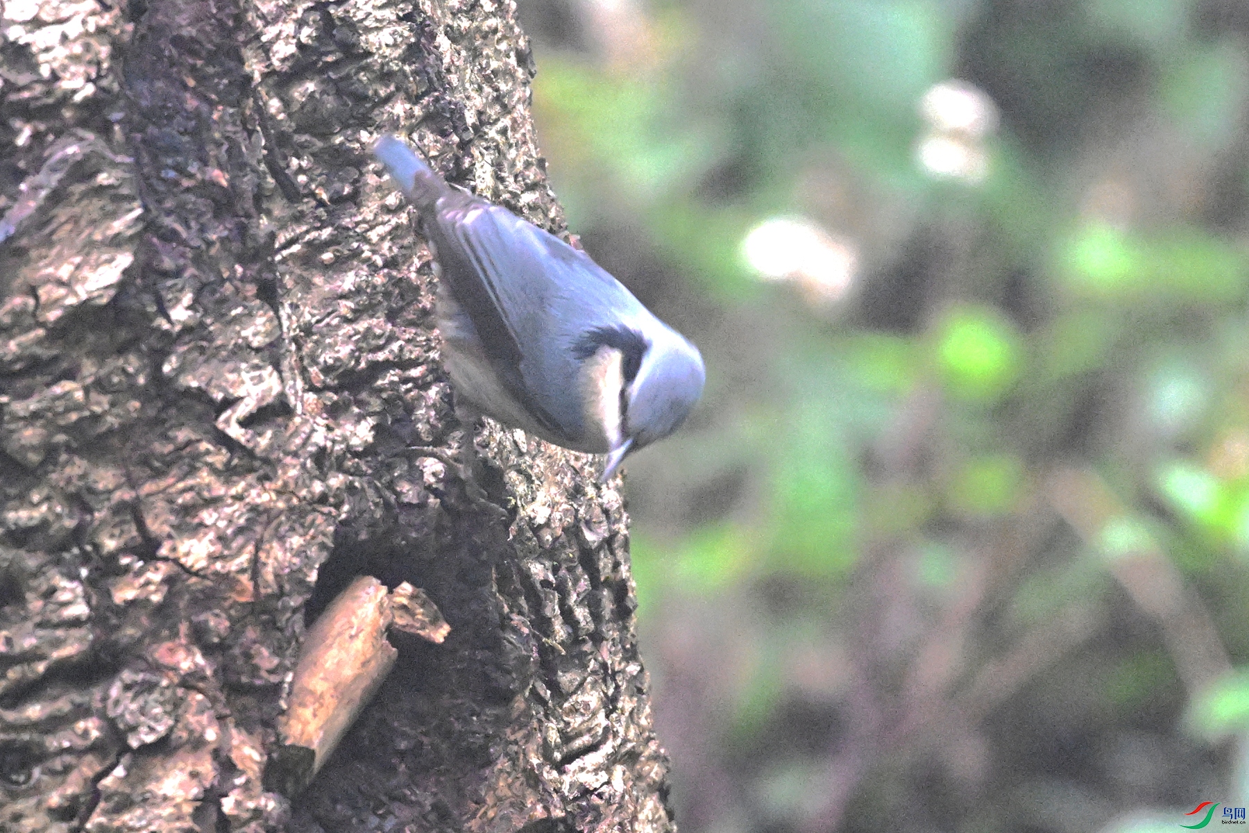 DSC_7067.JPG
