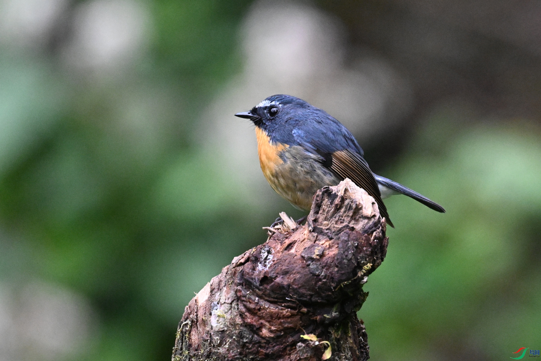 DSC_7049.JPG