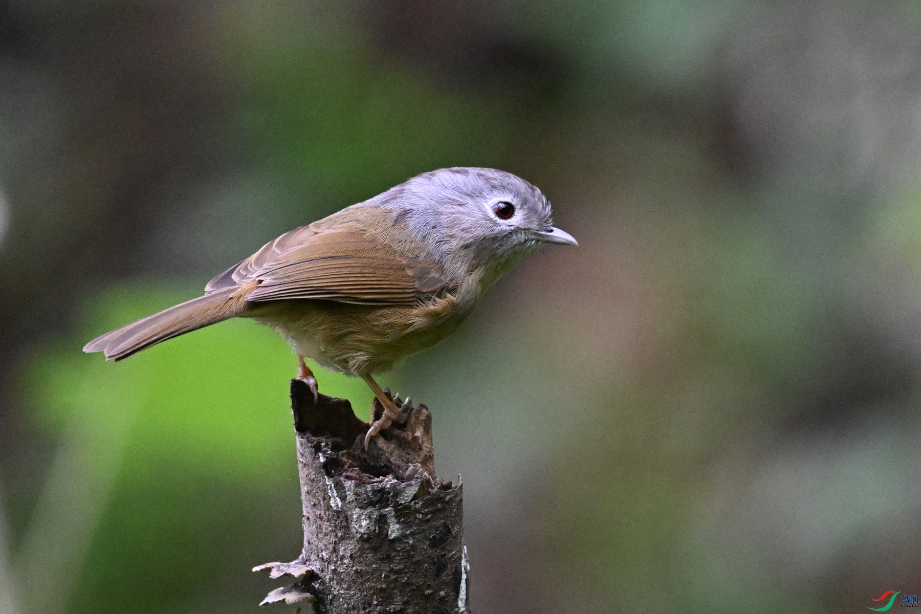 DSC_7073.JPG
