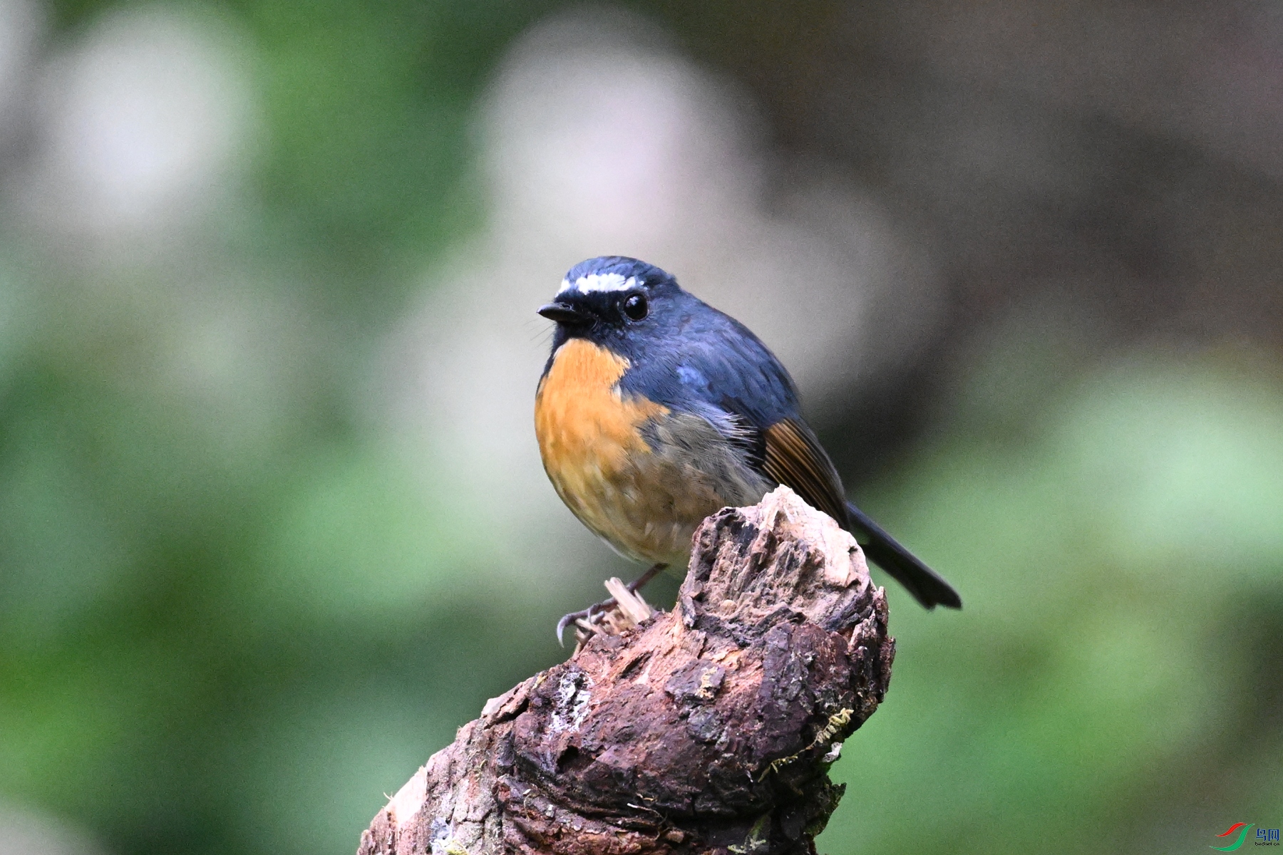 DSC_7052.JPG