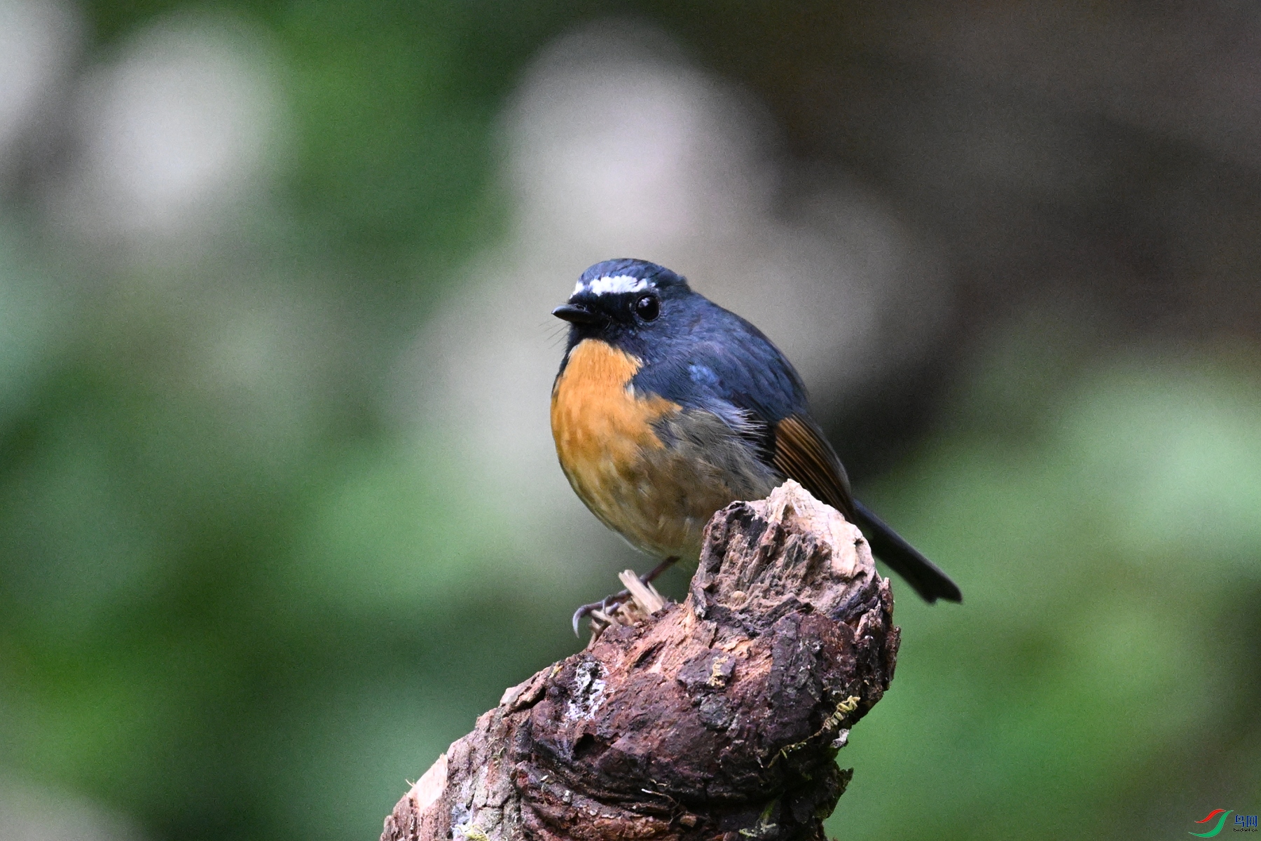 DSC_7055.JPG