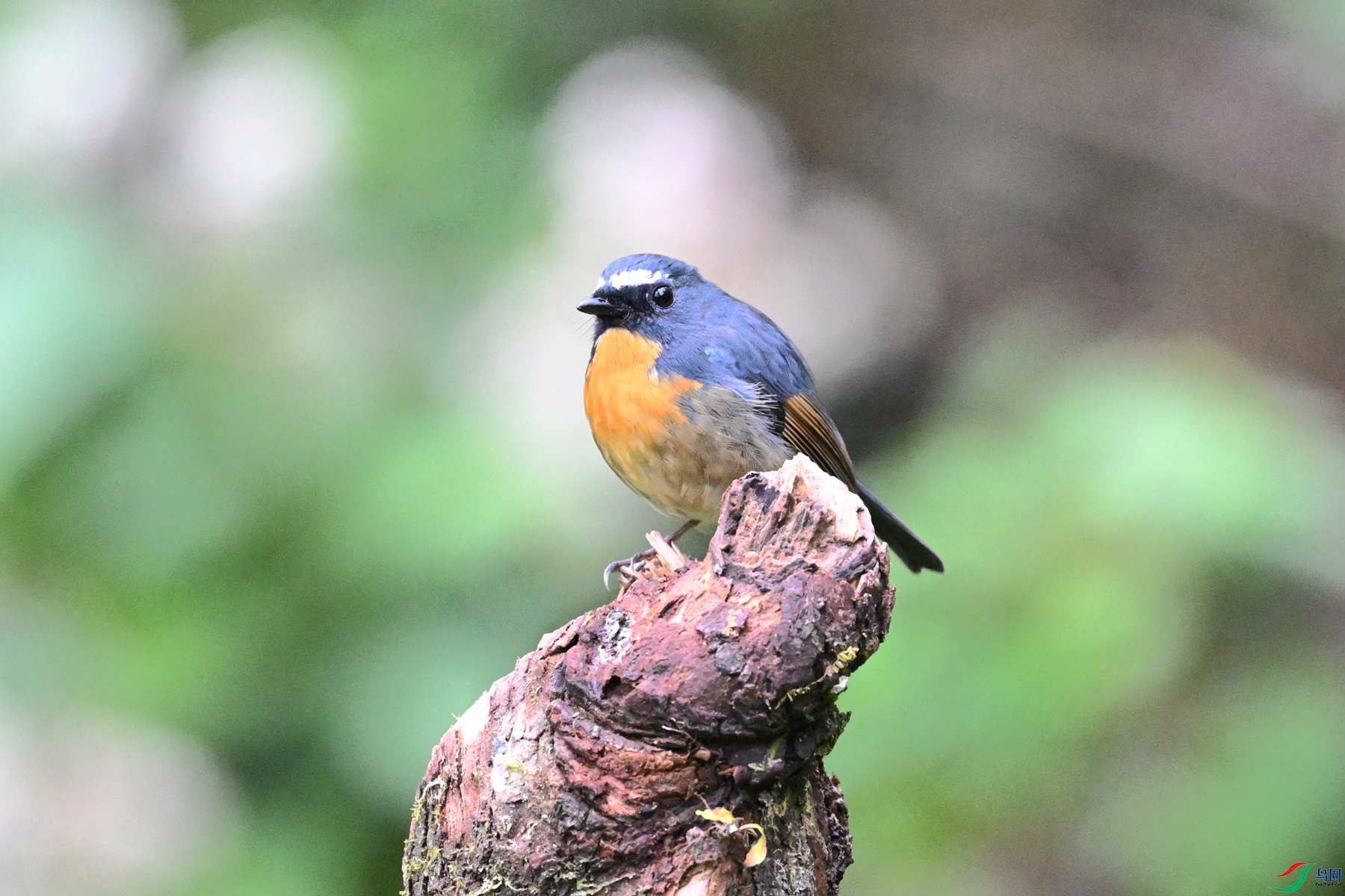 DSC_7057.JPG