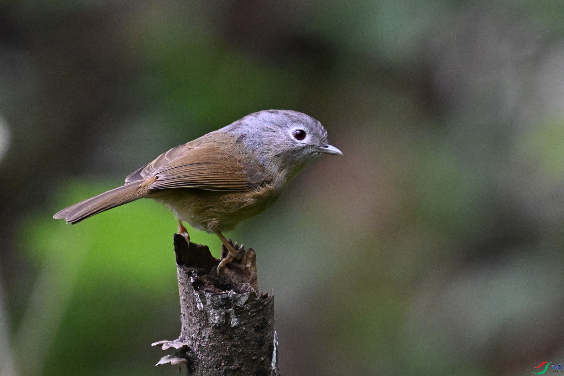 DSC_7075.JPG