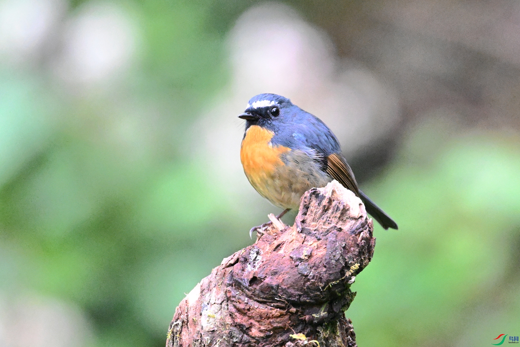 DSC_7058.JPG
