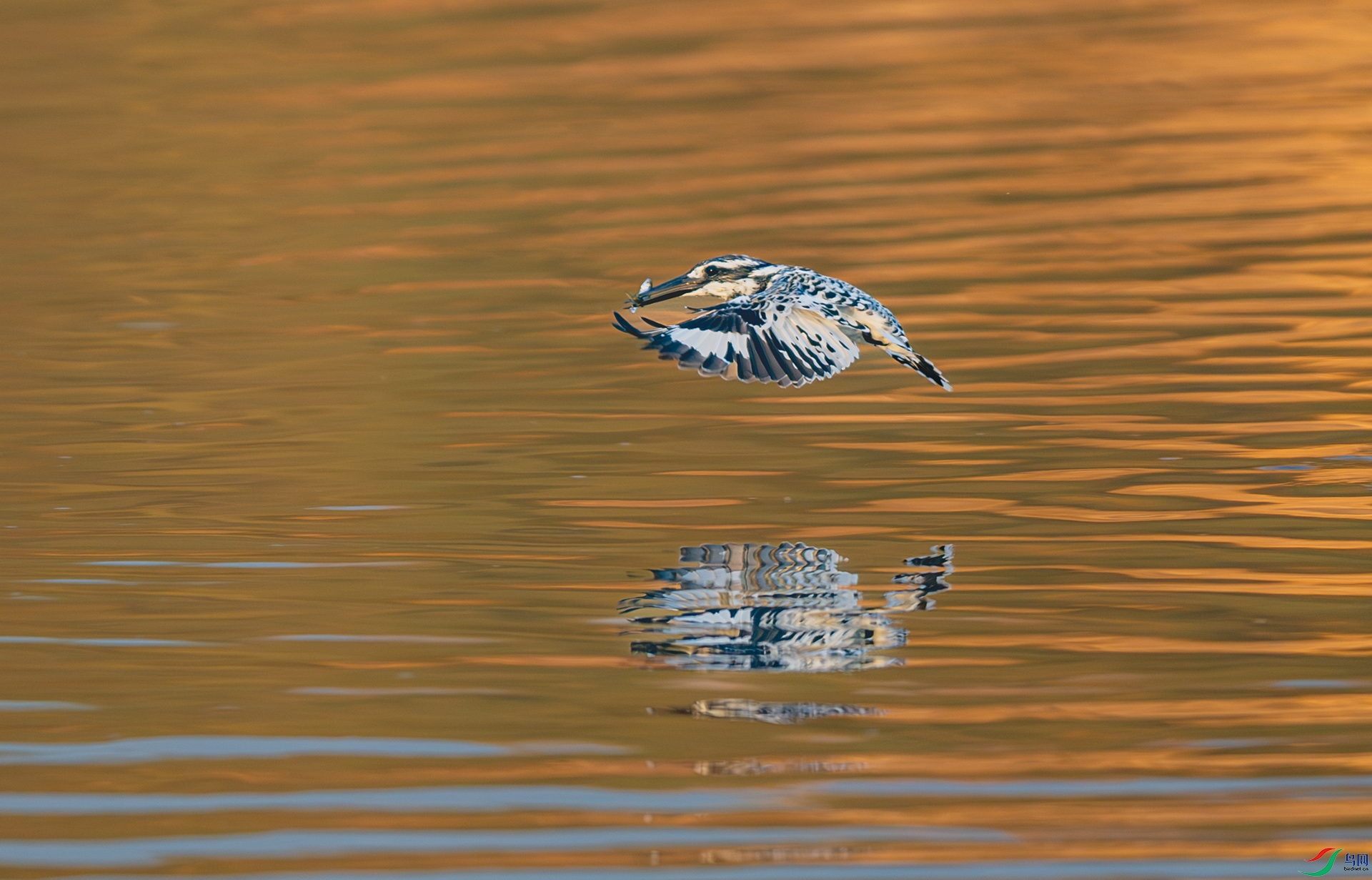 DSC_3385.jpg
