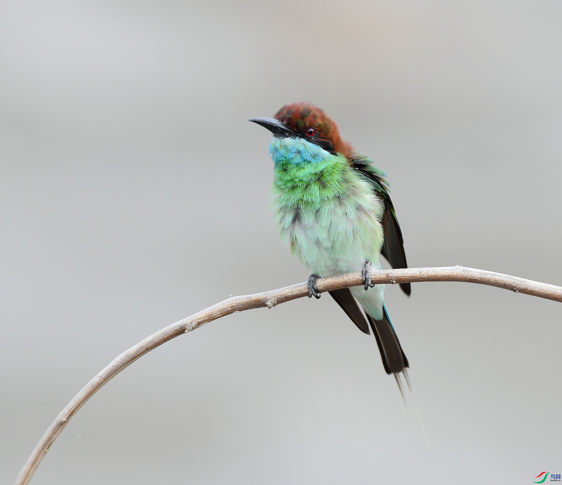 DSC_8028.jpg