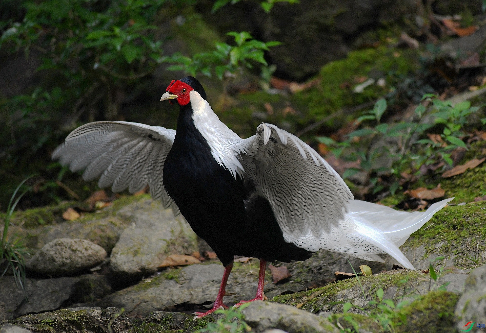 DSC_2325.jpg