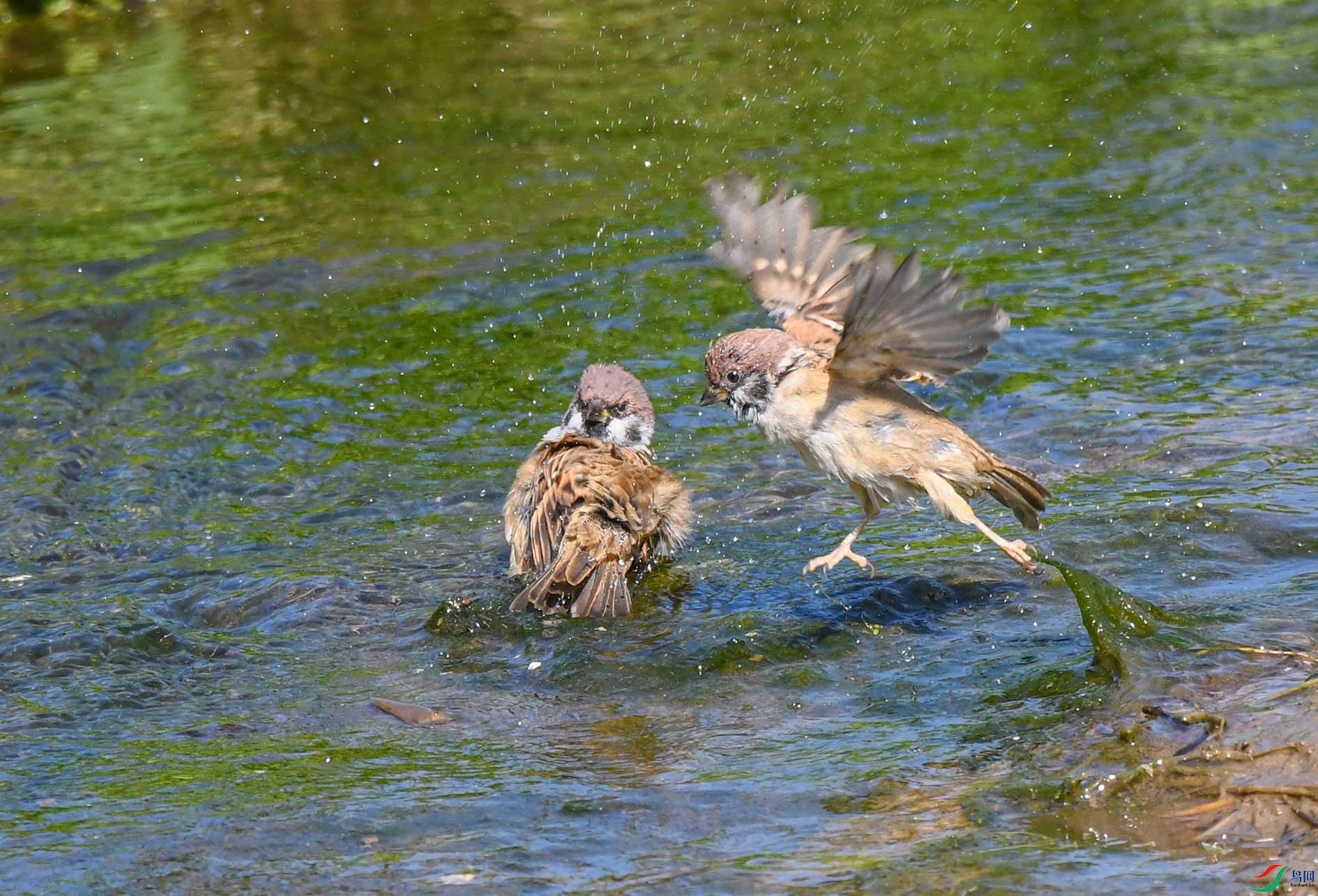 DSC_2647_��ͼ�� ����.jpg