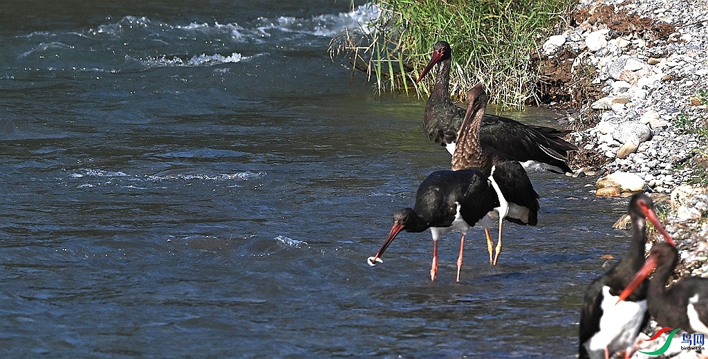 DSC_0812.JPG