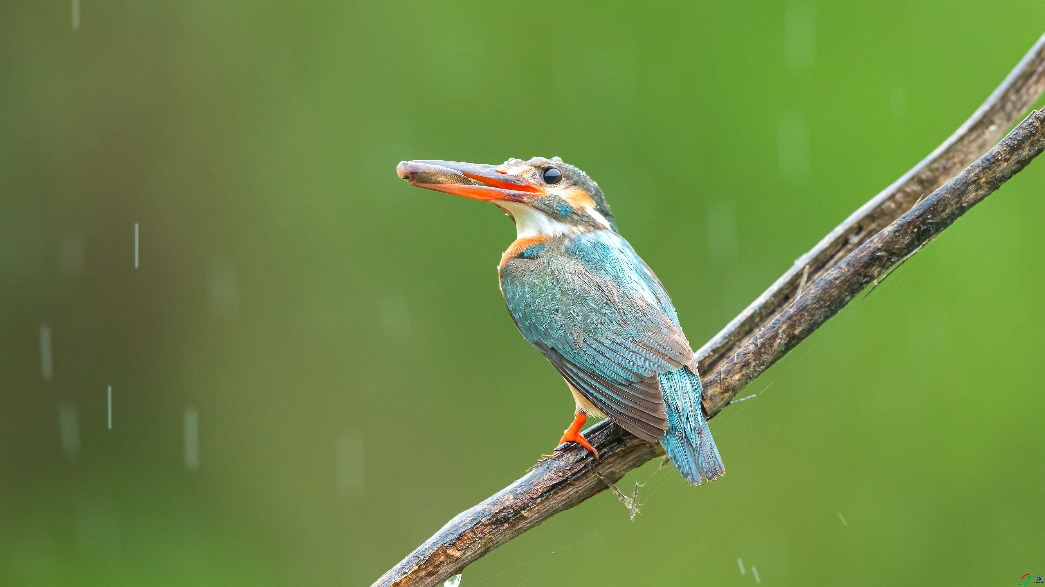 B89I1369.jpg